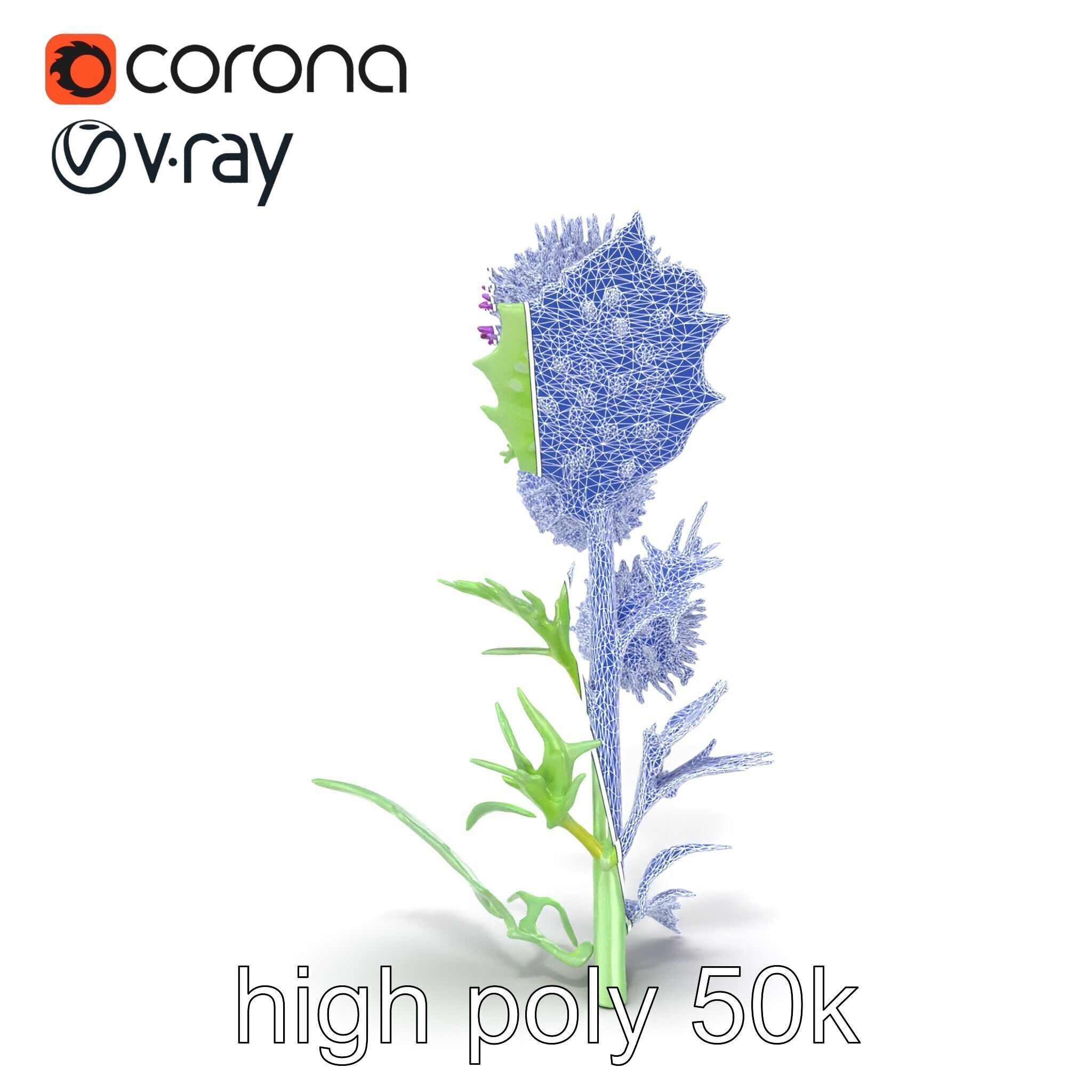 Cirsium Vulgare Flower model pack with Spiny Leaves Low-poly 3D model_19