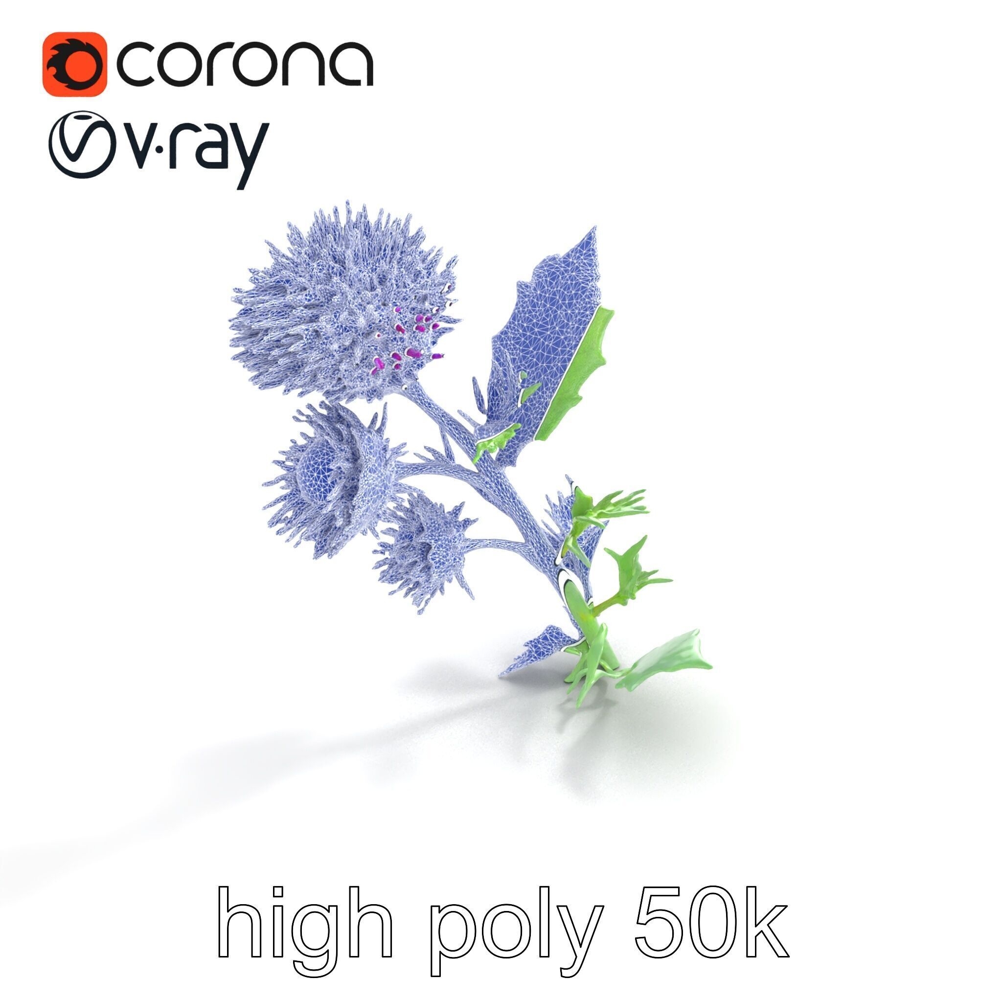 Cirsium Vulgare Flower model pack with Spiny Leaves Low-poly 3D model_17