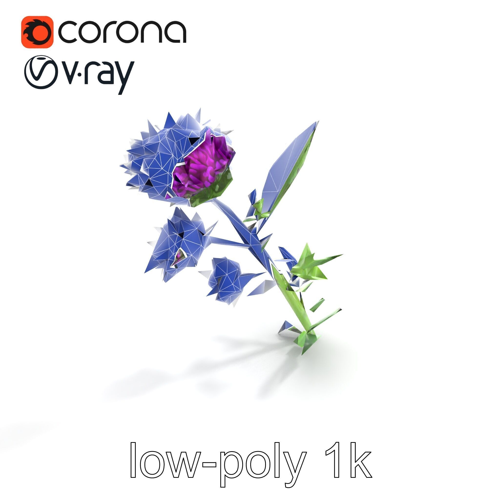 Cirsium Vulgare Flower model pack with Spiny Leaves Low-poly 3D model_12