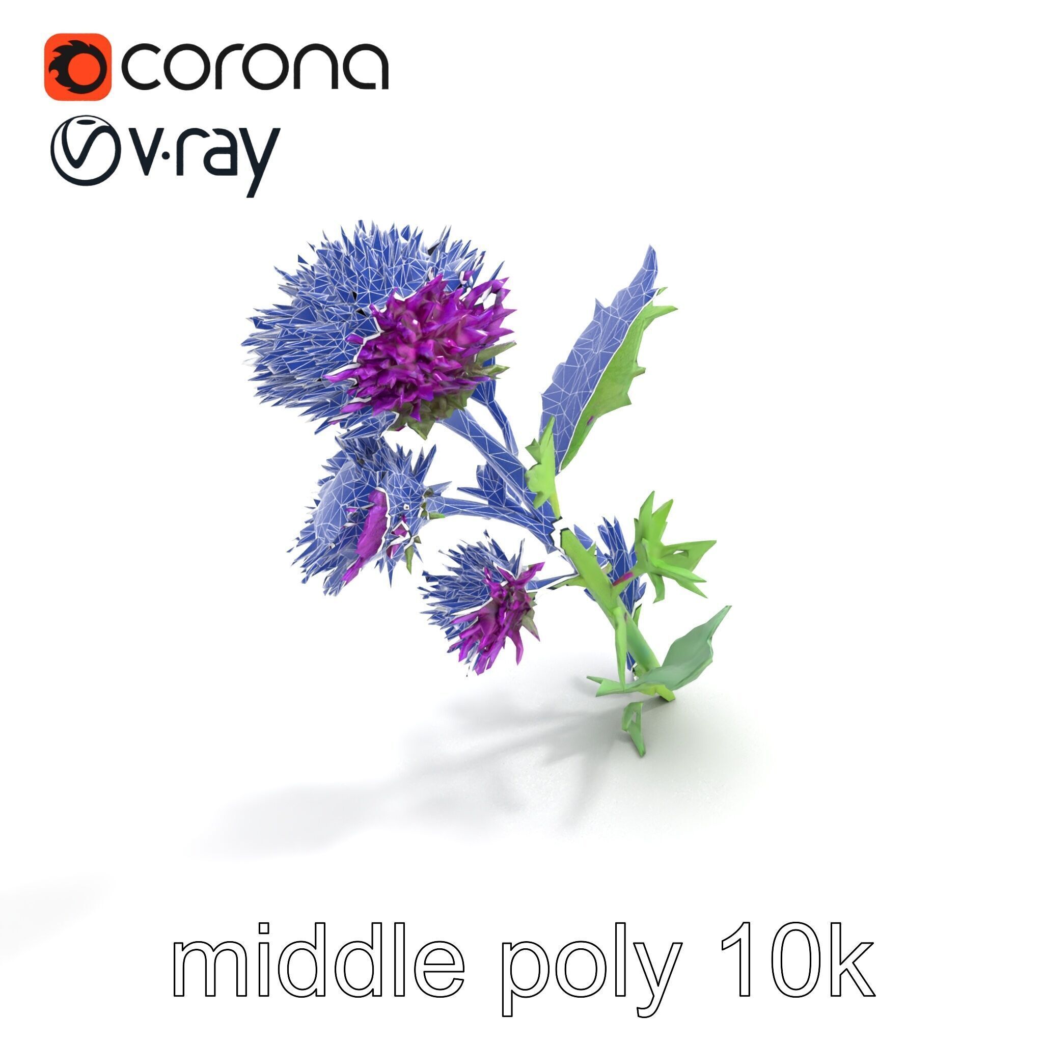 Cirsium Vulgare Flower model pack with Spiny Leaves Low-poly 3D model_11