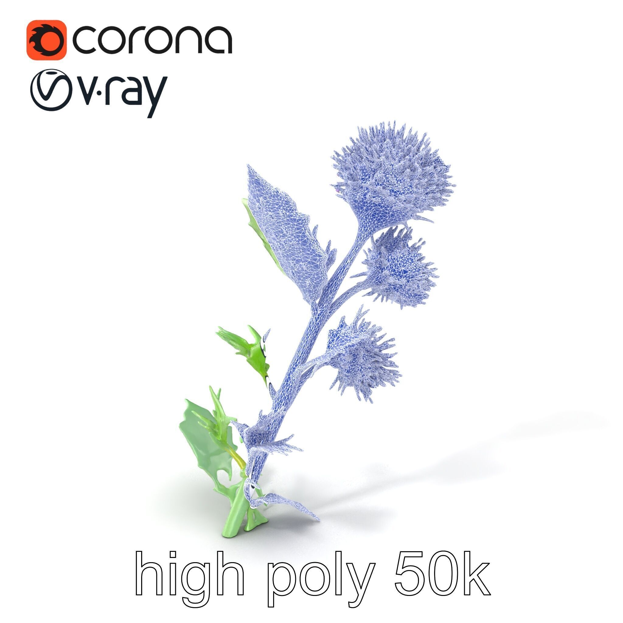 Cirsium Vulgare Flower model pack with Spiny Leaves Low-poly 3D model_10