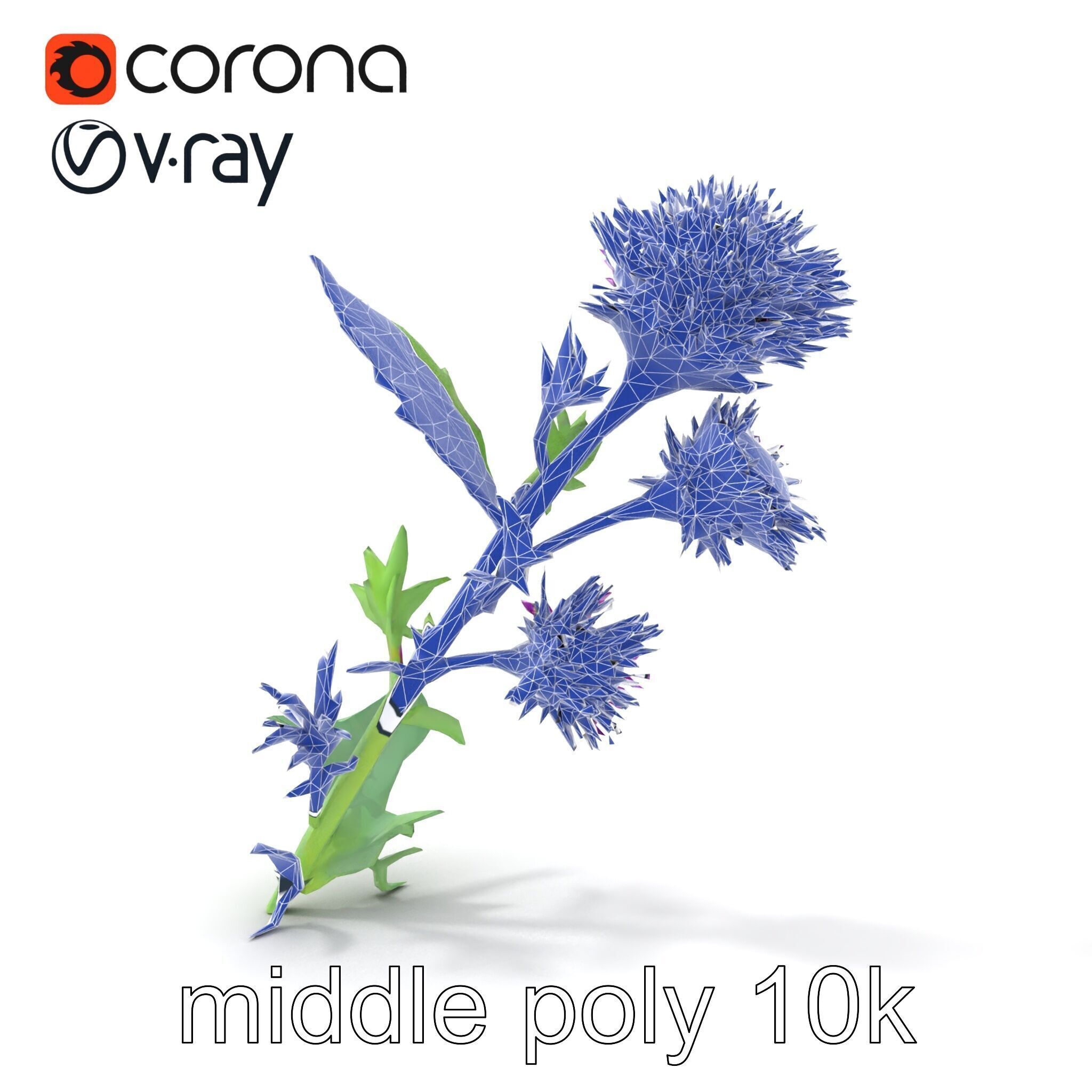 Cirsium Vulgare Flower model pack with Spiny Leaves Low-poly 3D model_26