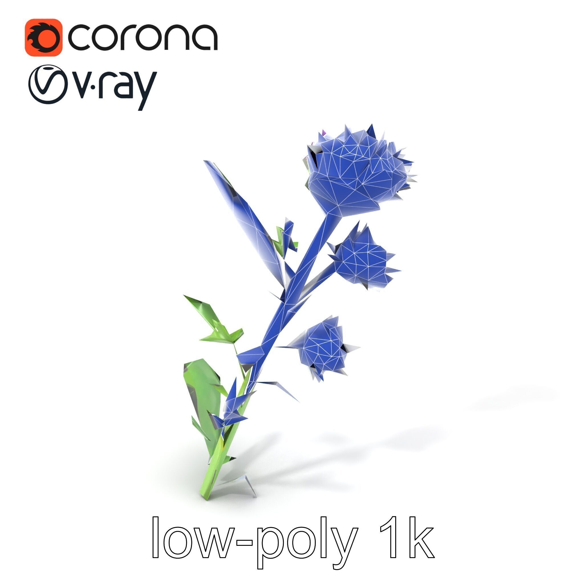 Cirsium Vulgare Flower model pack with Spiny Leaves Low-poly 3D model_7