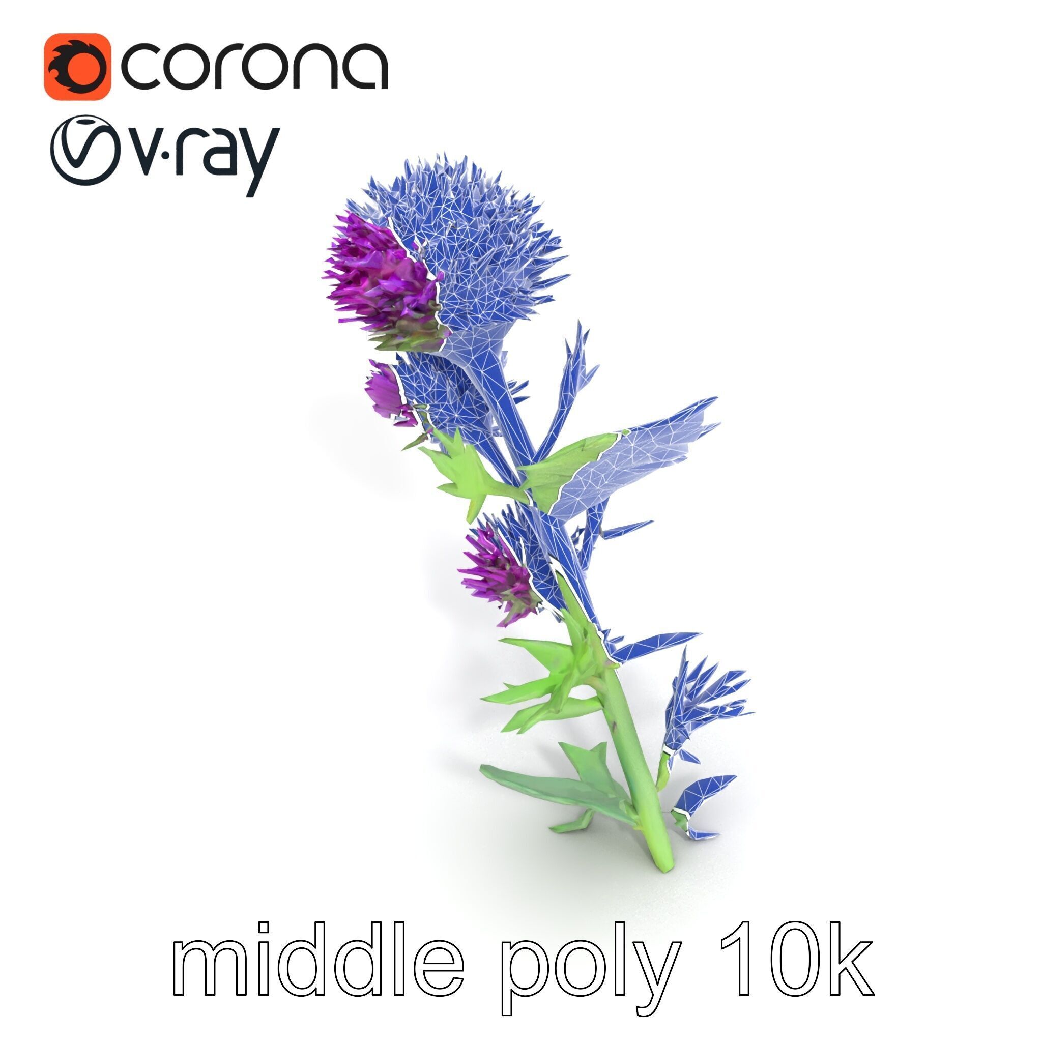 Cirsium Vulgare Flower model pack with Spiny Leaves Low-poly 3D model_13