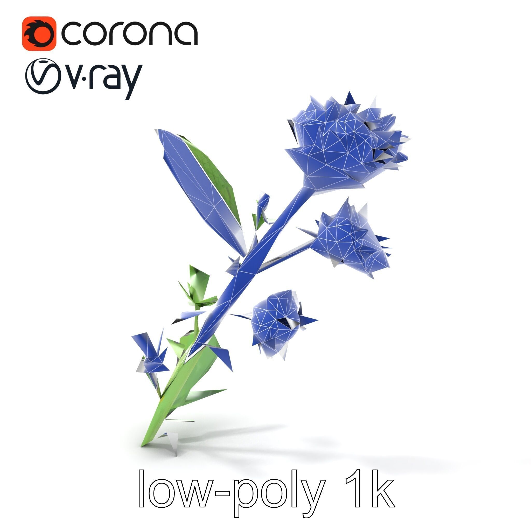 Cirsium Vulgare Flower model pack with Spiny Leaves Low-poly 3D model_16