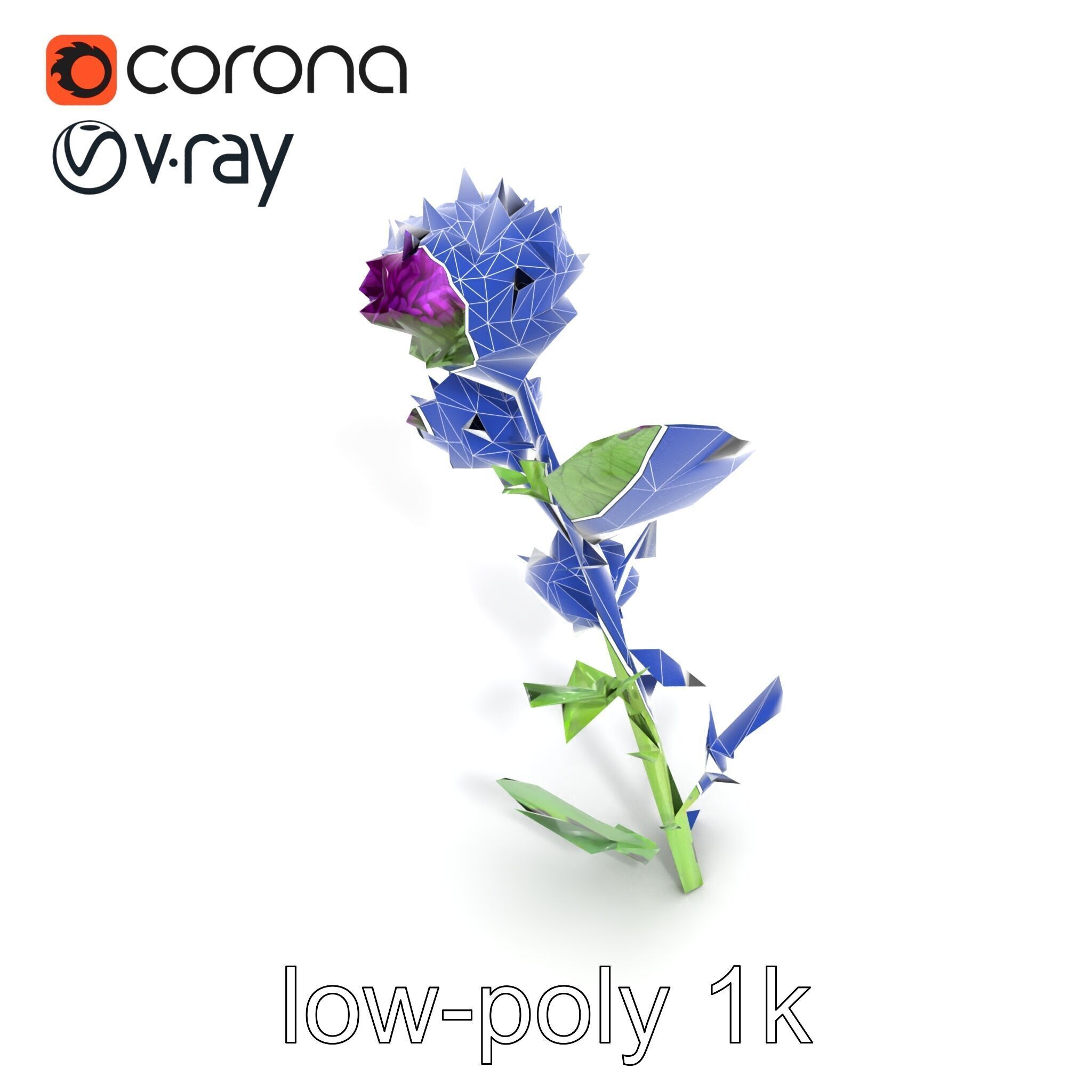 Cirsium Vulgare Flower model pack with Spiny Leaves Low-poly 3D model_15