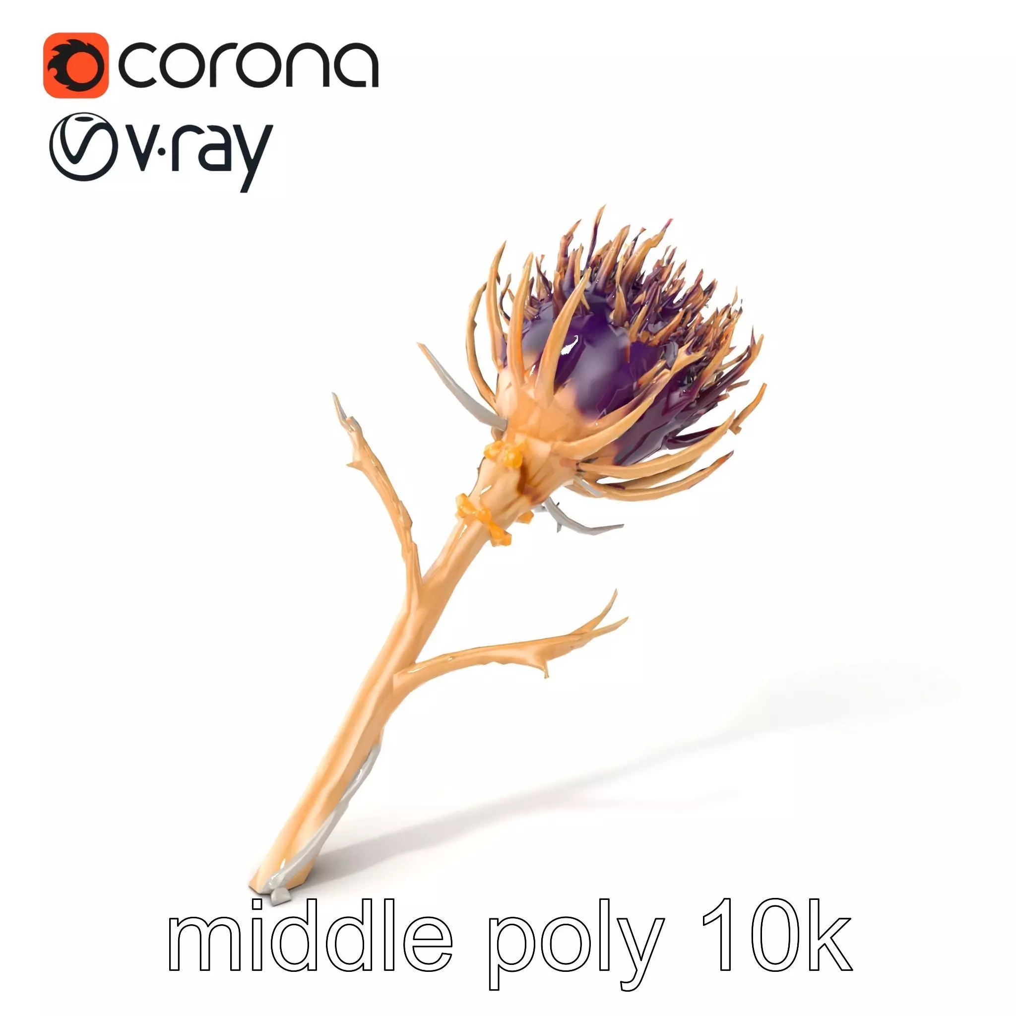 Luxurious Thistle Gold Accent Model Pack Low-poly 3D model_0