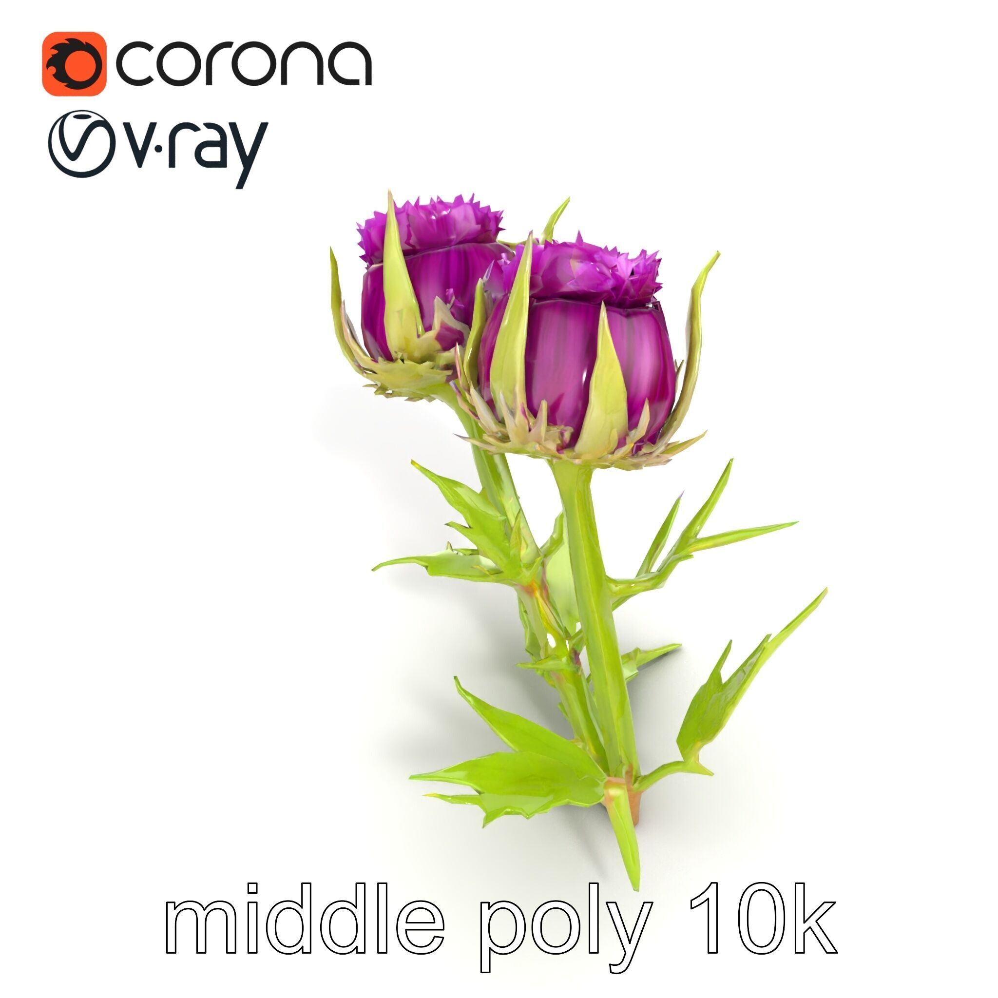 Thistle Leaves Detailed Nature model pack Low-poly 3D model_12