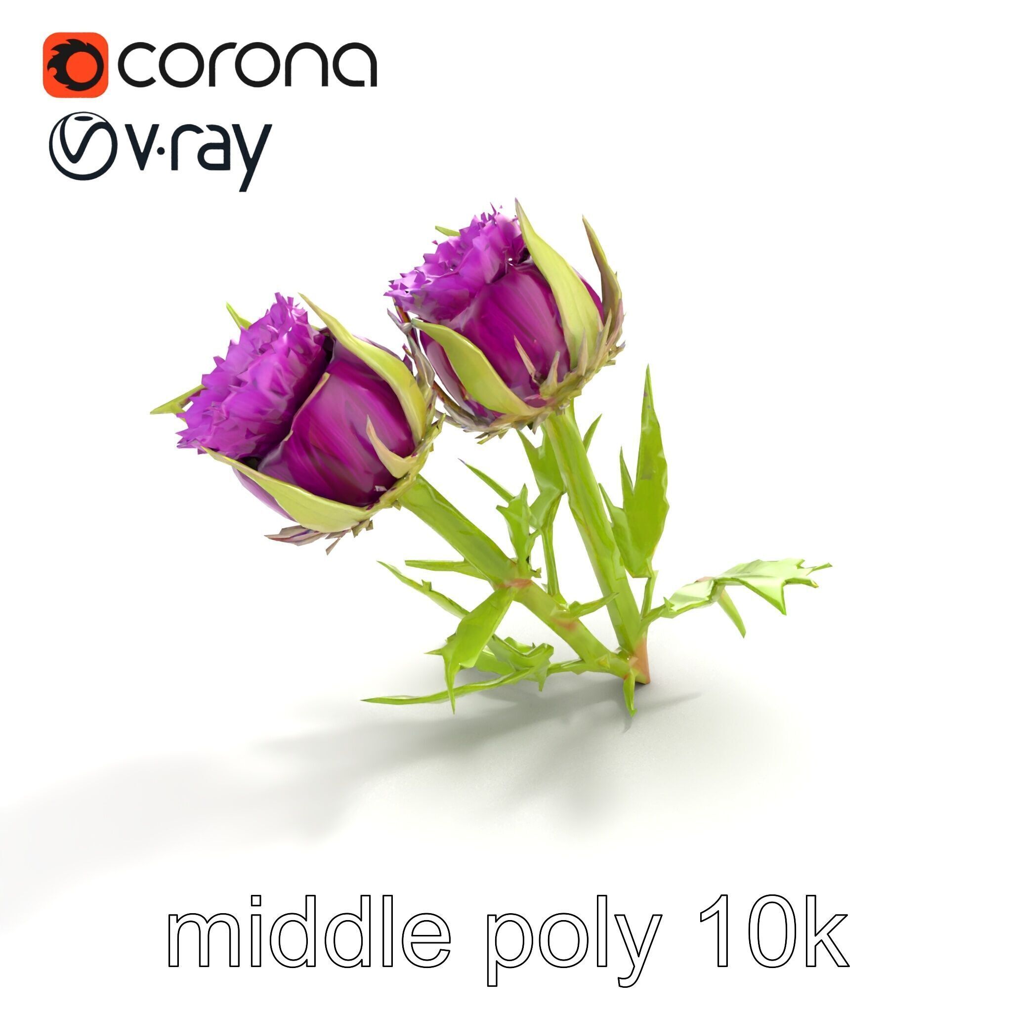 Thistle Leaves Detailed Nature model pack Low-poly 3D model_8