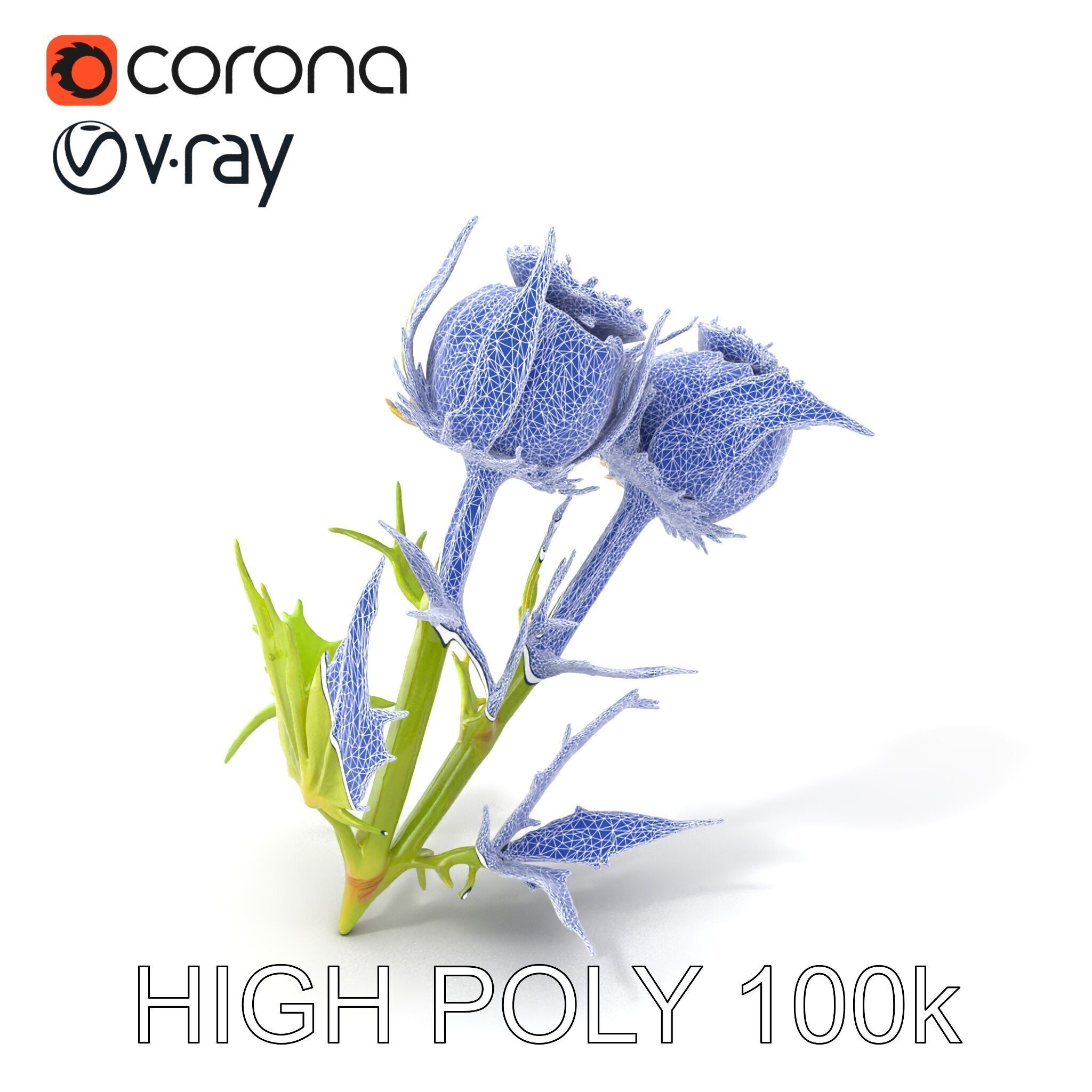 Thistle Leaves Detailed Nature model pack Low-poly 3D model_10