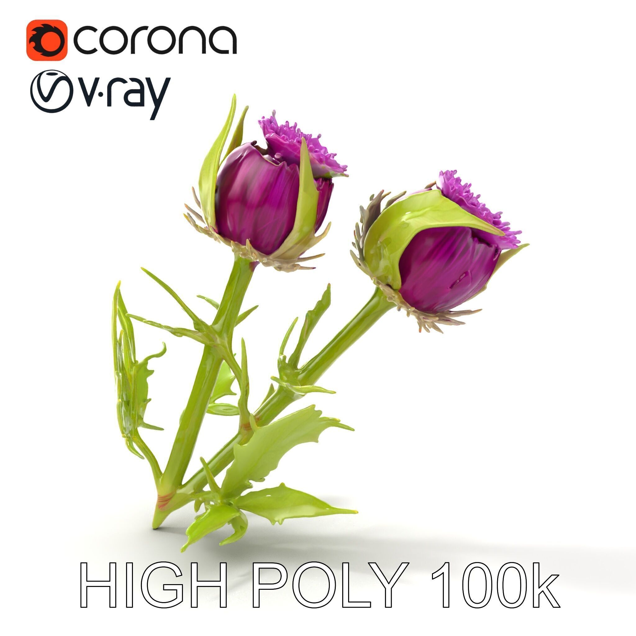 Thistle Leaves Detailed Nature model pack Low-poly 3D model_14