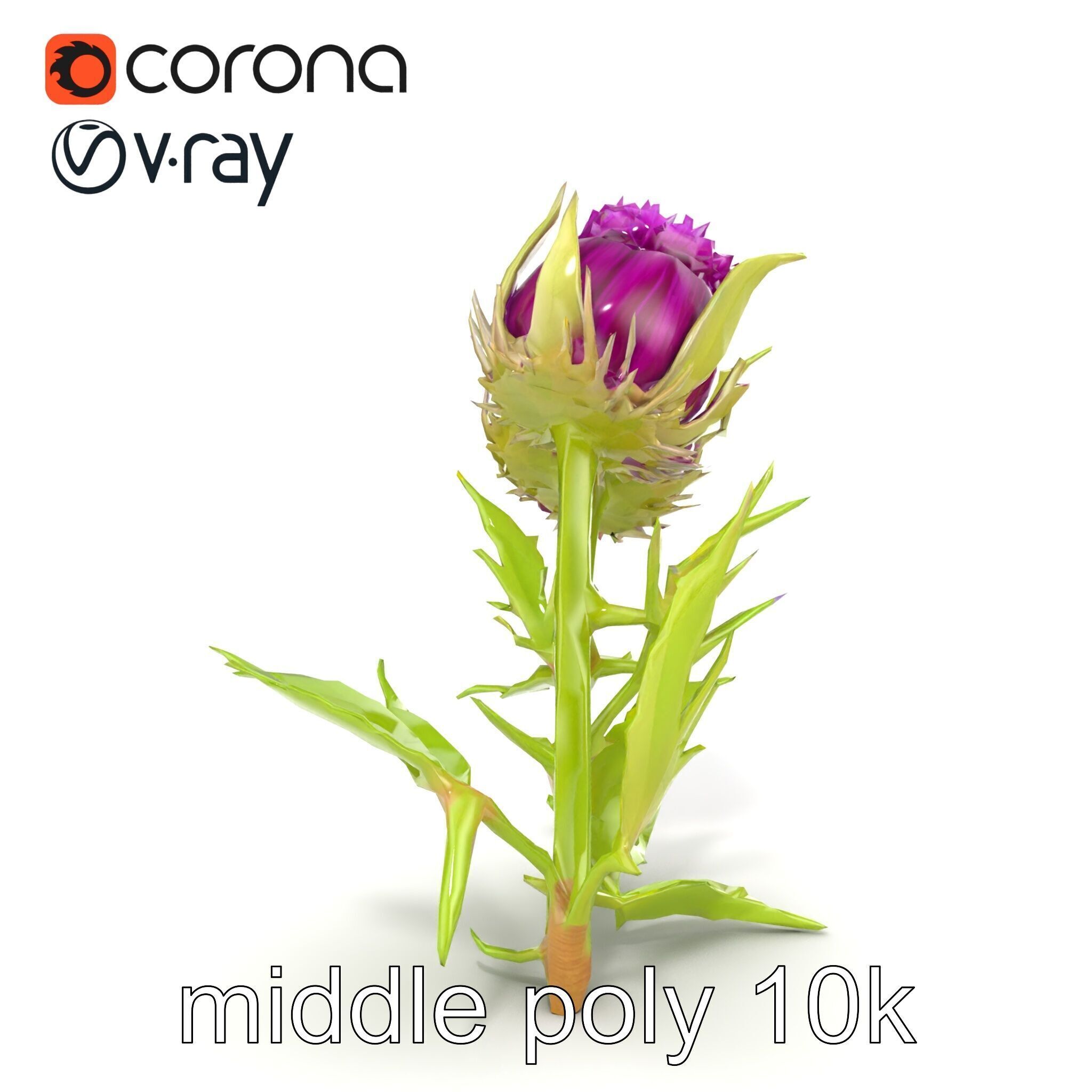 Thistle Leaves Detailed Nature model pack Low-poly 3D model_31