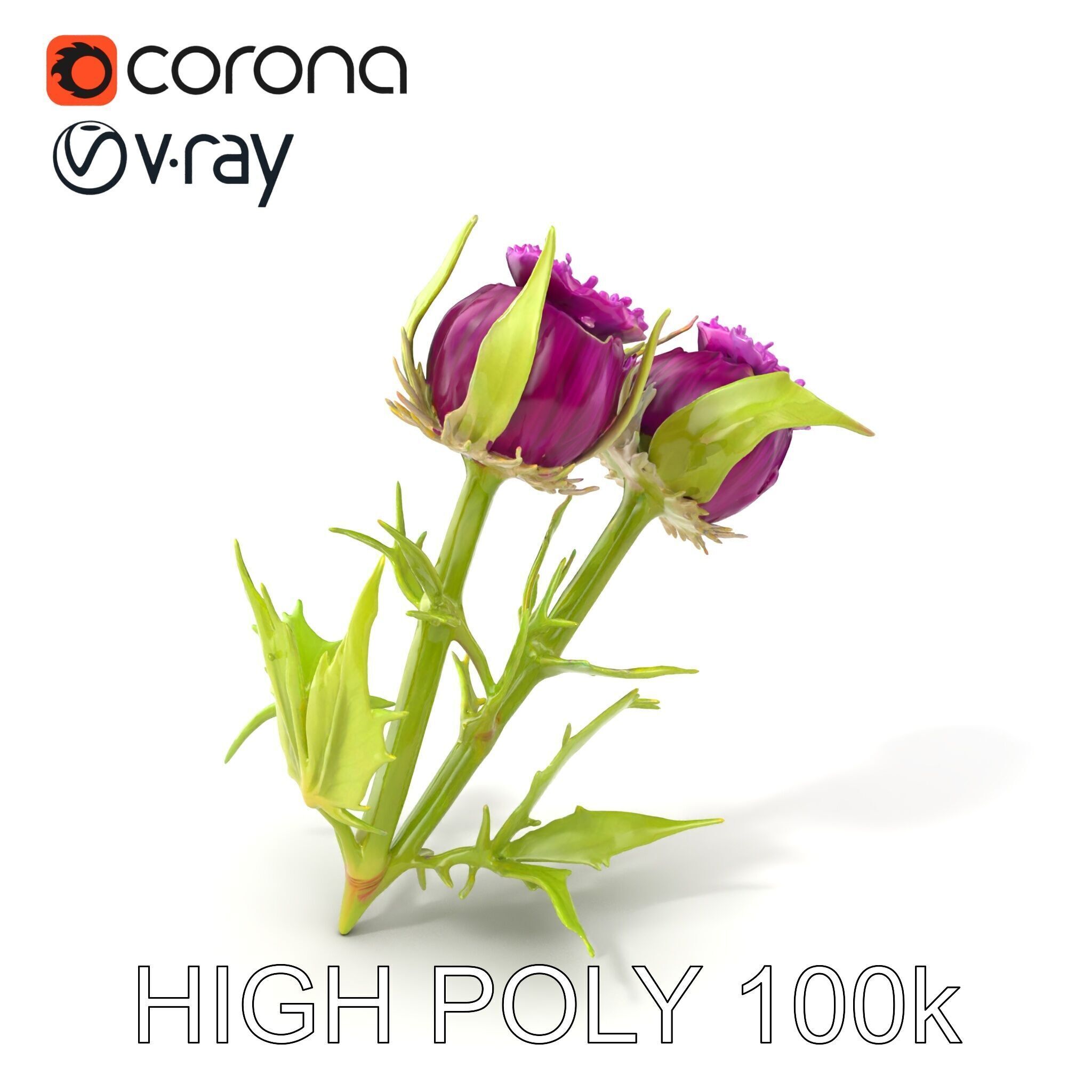 Thistle Leaves Detailed Nature model pack Low-poly 3D model_2