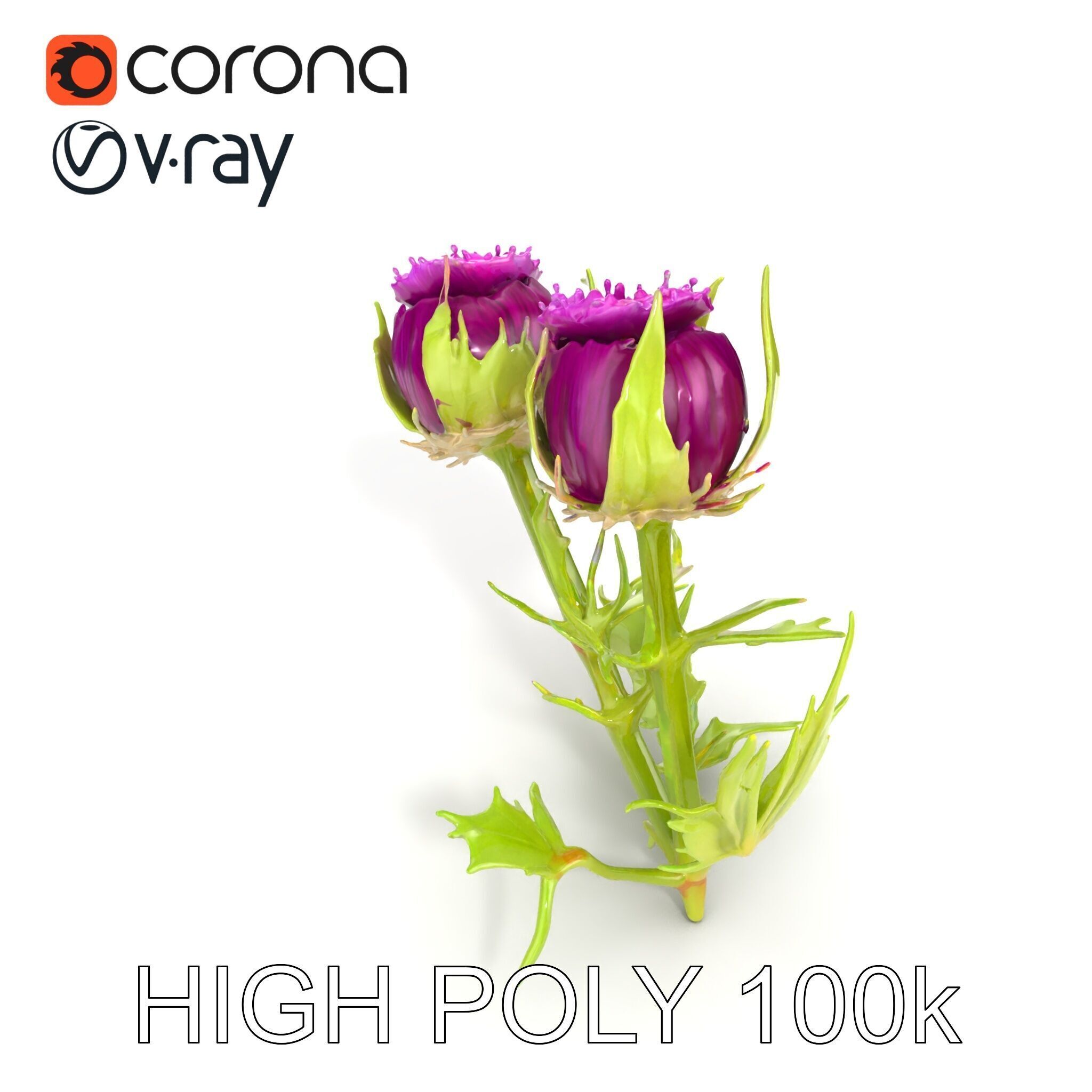 Thistle Leaves Detailed Nature model pack Low-poly 3D model_25
