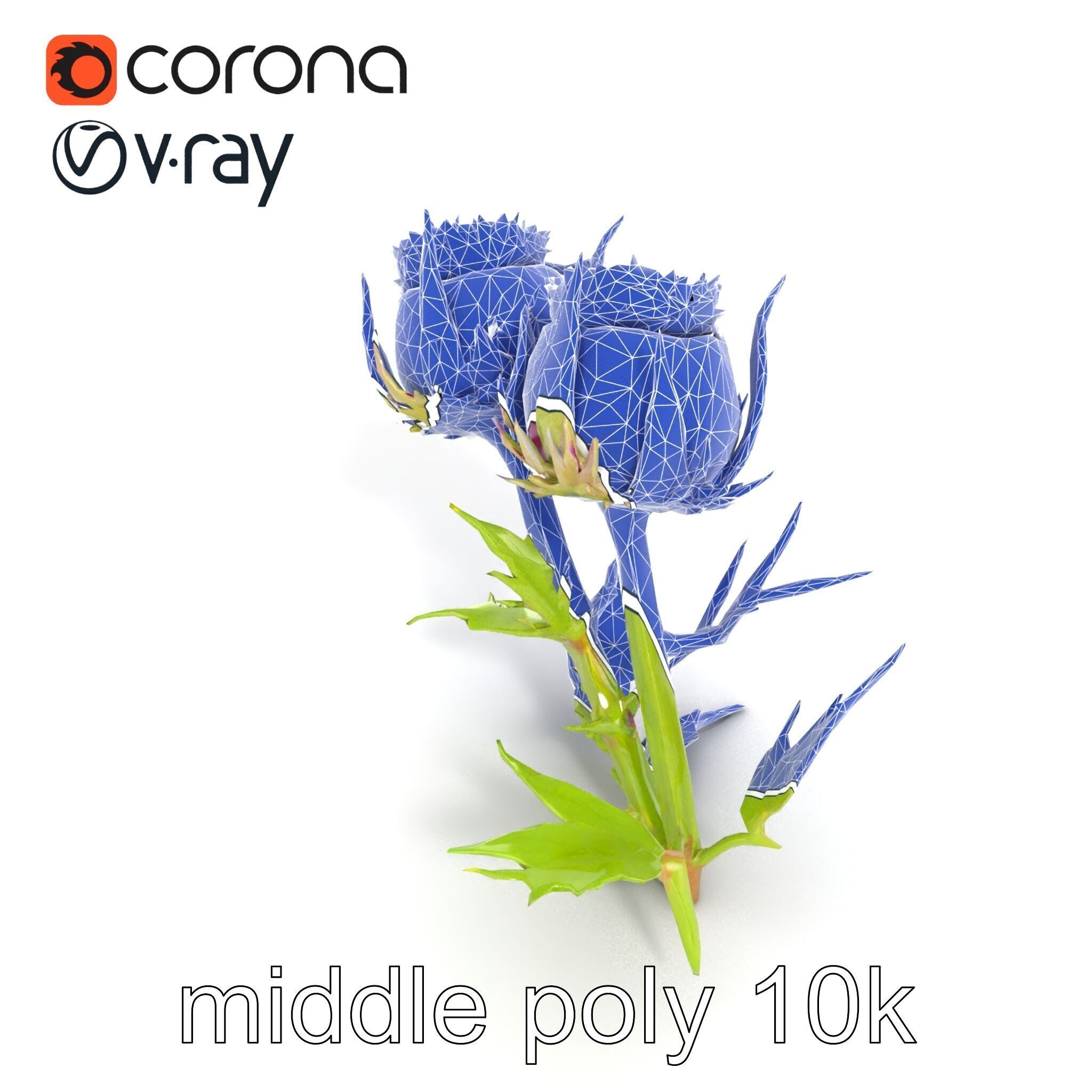 Thistle Leaves Detailed Nature model pack Low-poly 3D model_27