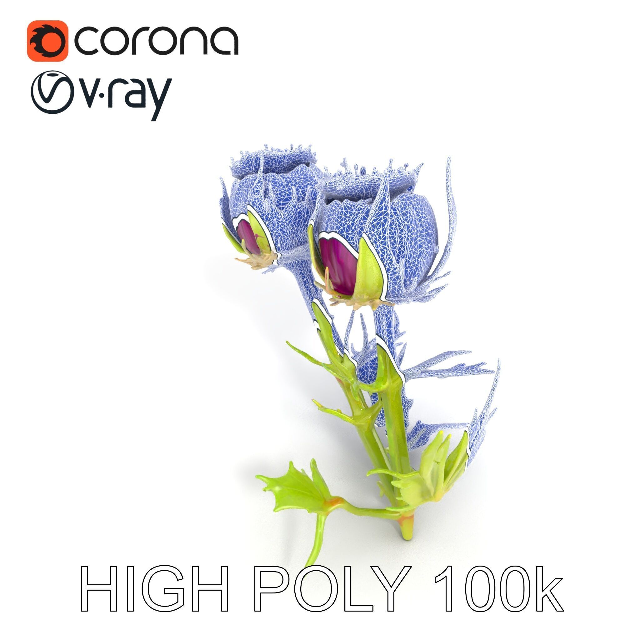 Thistle Leaves Detailed Nature model pack Low-poly 3D model_17