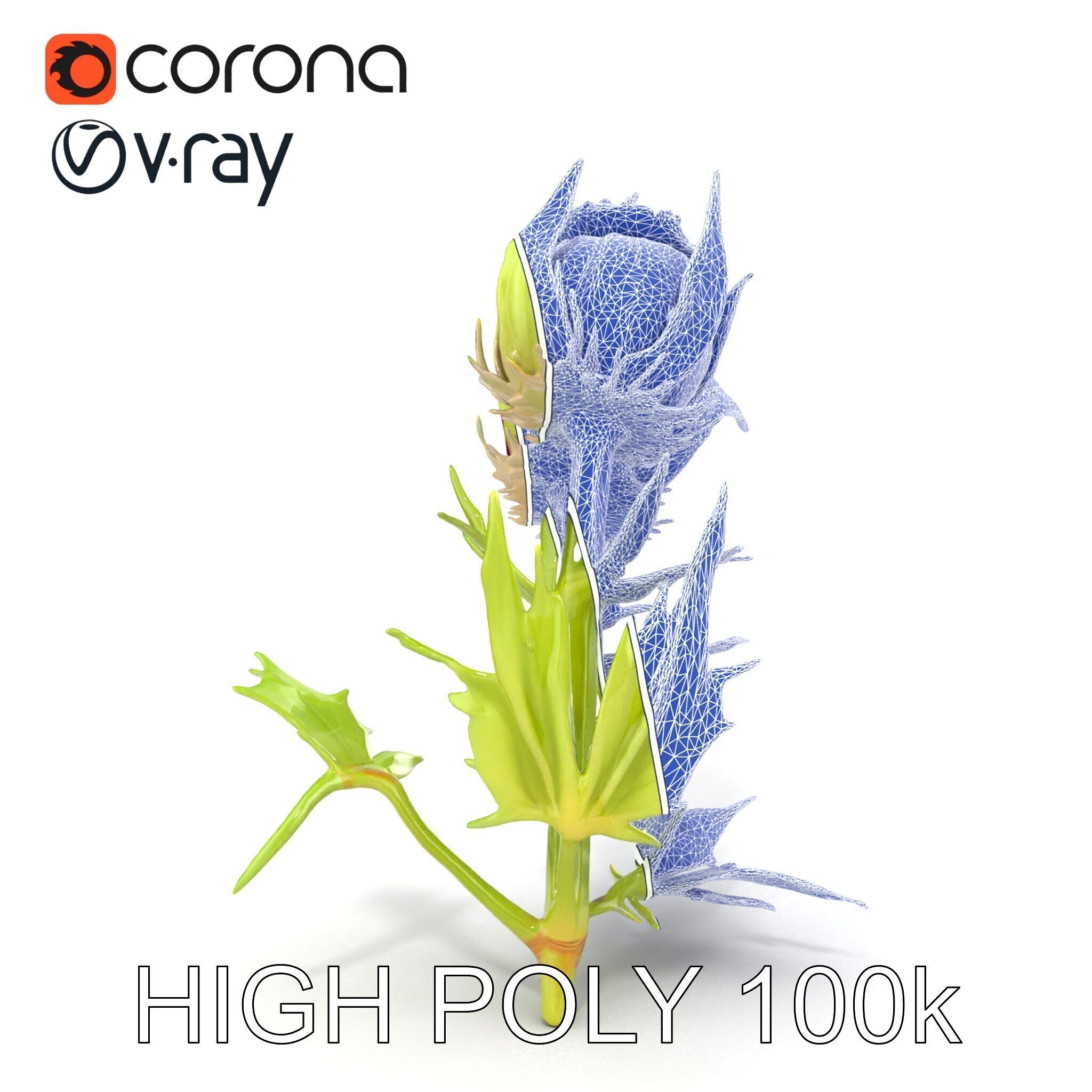 Thistle Leaves Detailed Nature model pack Low-poly 3D model_24