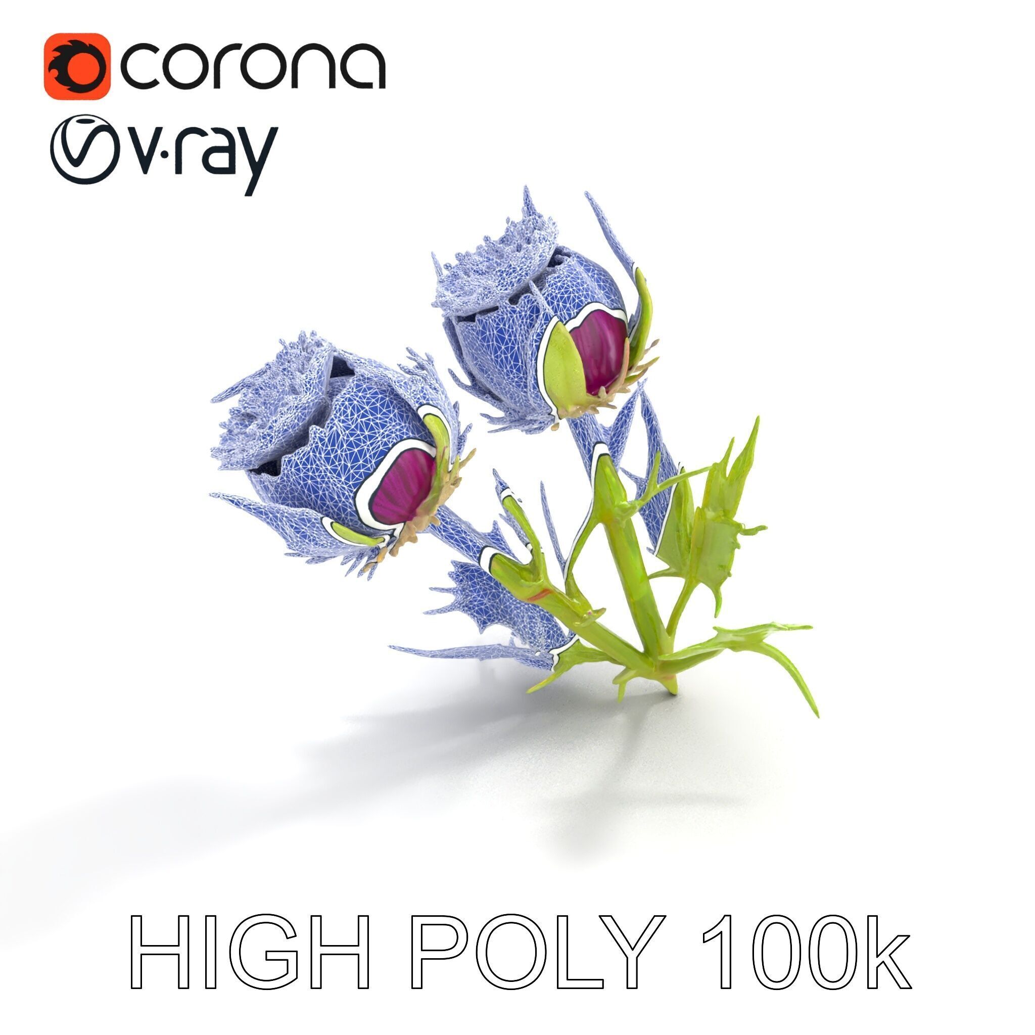 Thistle Leaves Detailed Nature model pack Low-poly 3D model_18