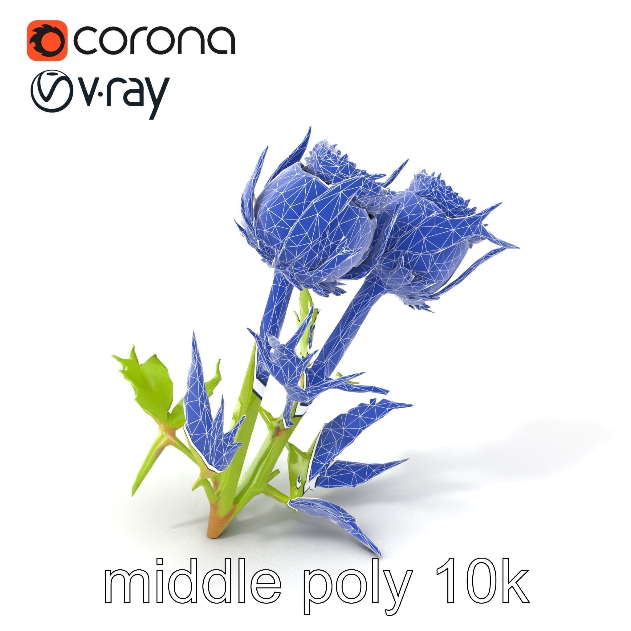 Thistle Leaves Detailed Nature model pack Low-poly 3D model_6