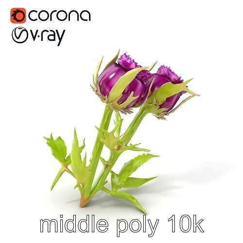 Thistle Leaves Detailed Nature model pack Low-poly 3D model