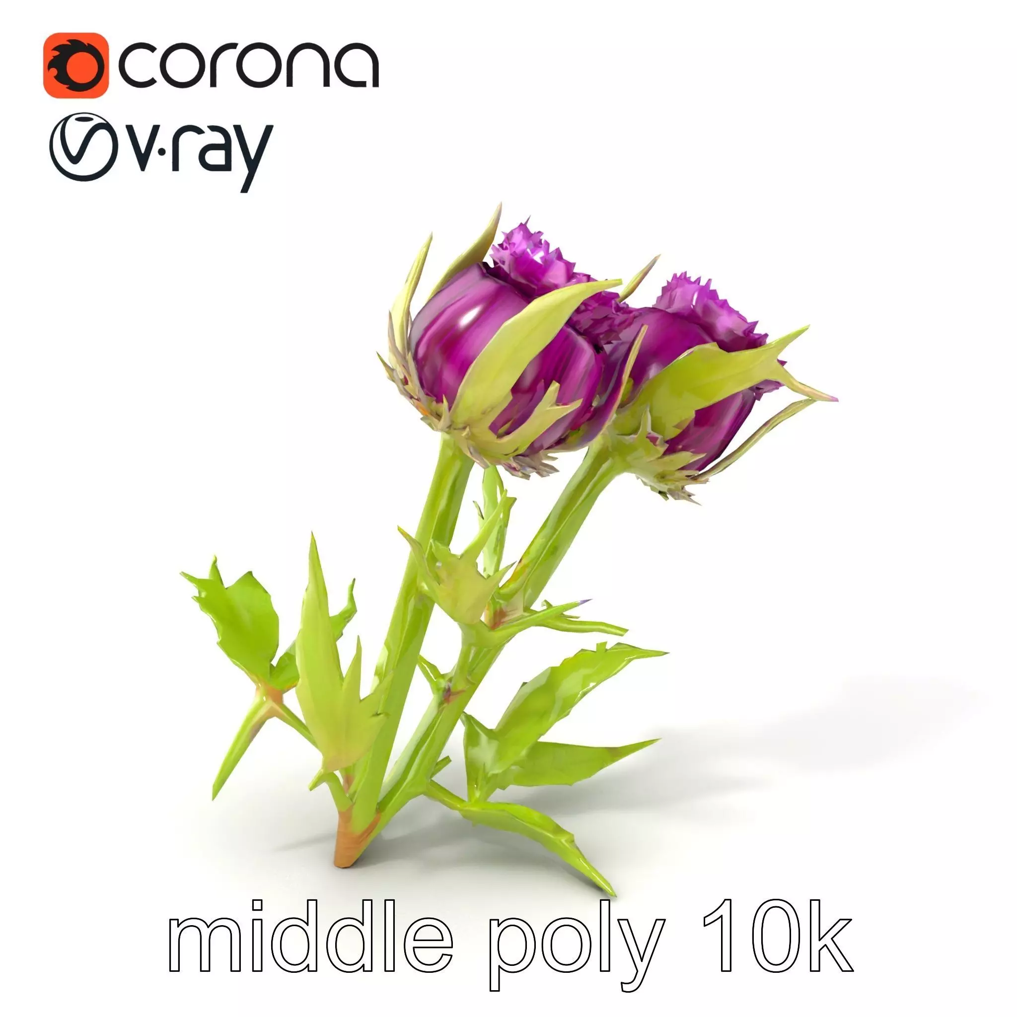 Thistle Leaves Detailed Nature model pack Low-poly 3D model_0
