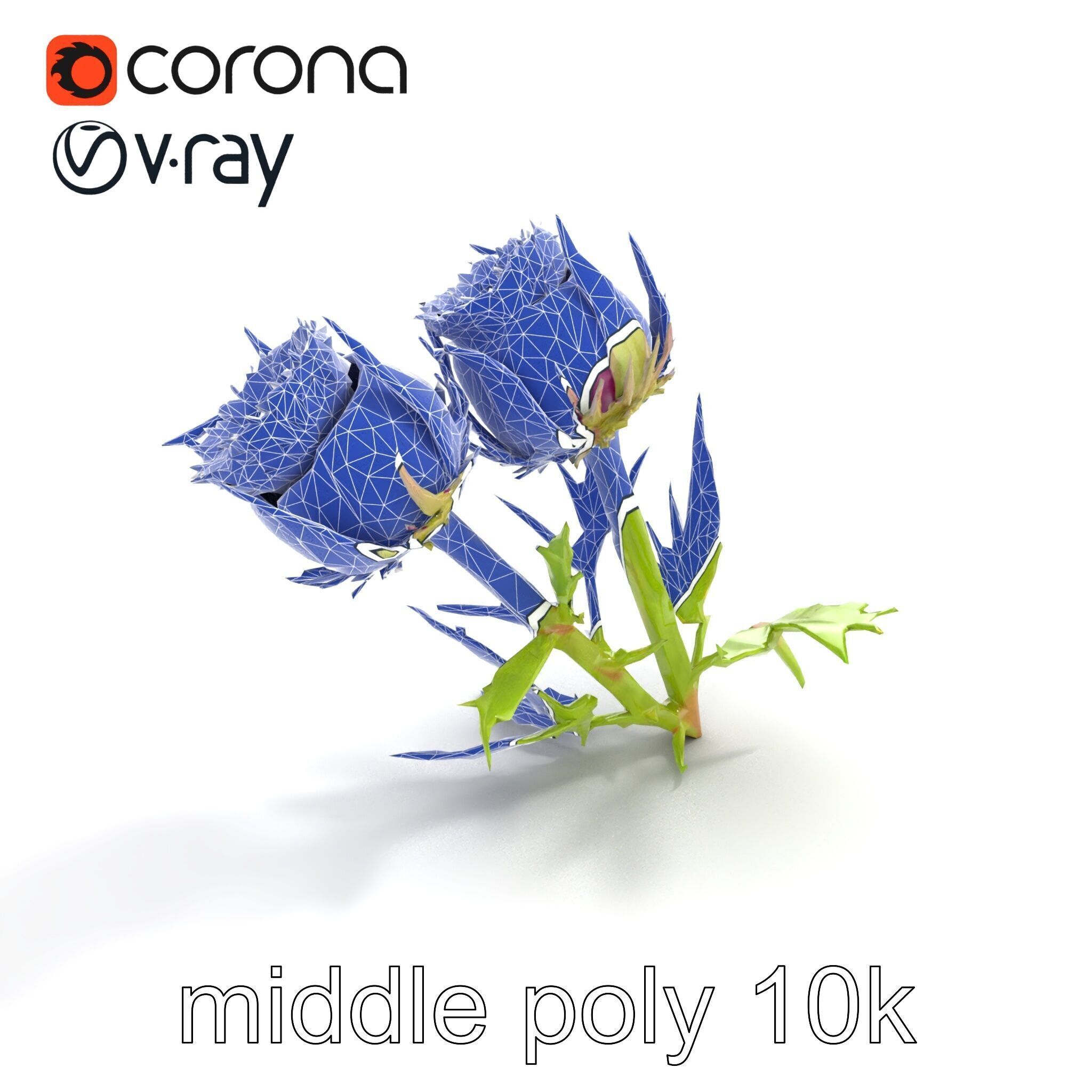Thistle Leaves Detailed Nature model pack Low-poly 3D model_11