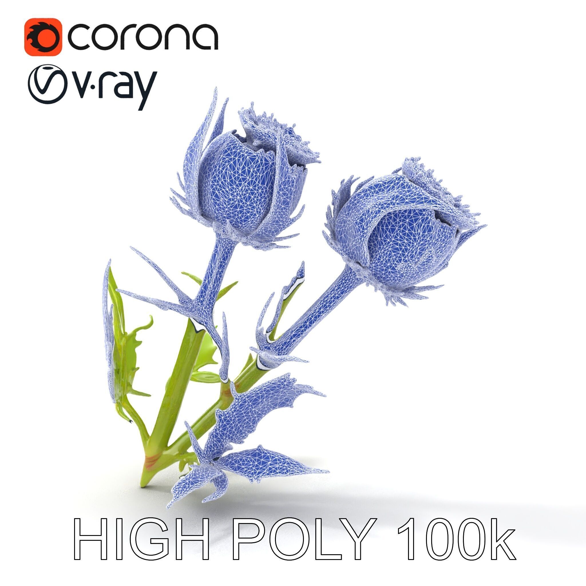 Thistle Leaves Detailed Nature model pack Low-poly 3D model_29