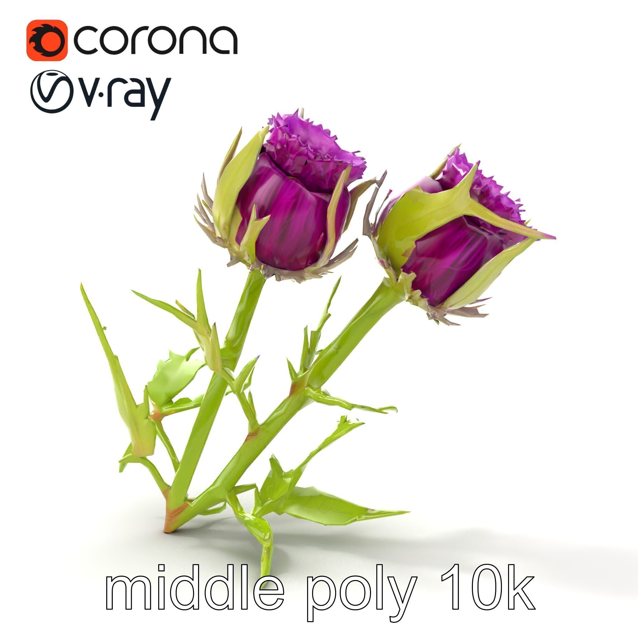 Thistle Leaves Detailed Nature model pack Low-poly 3D model_13