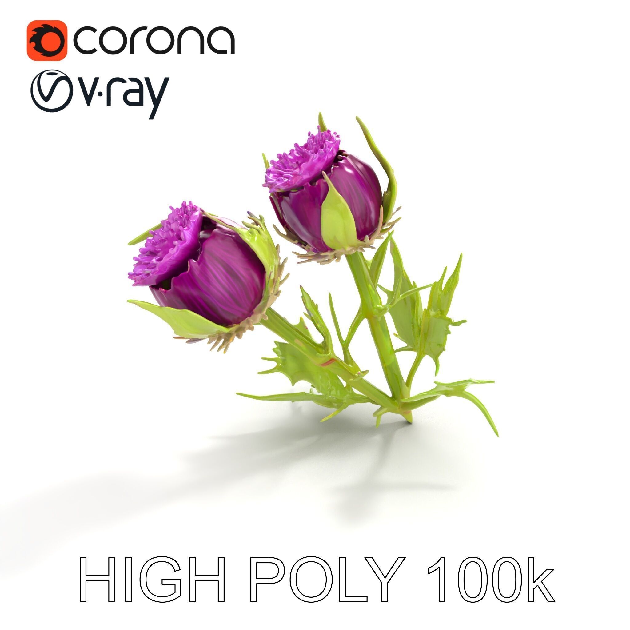 Thistle Leaves Detailed Nature model pack Low-poly 3D model_26