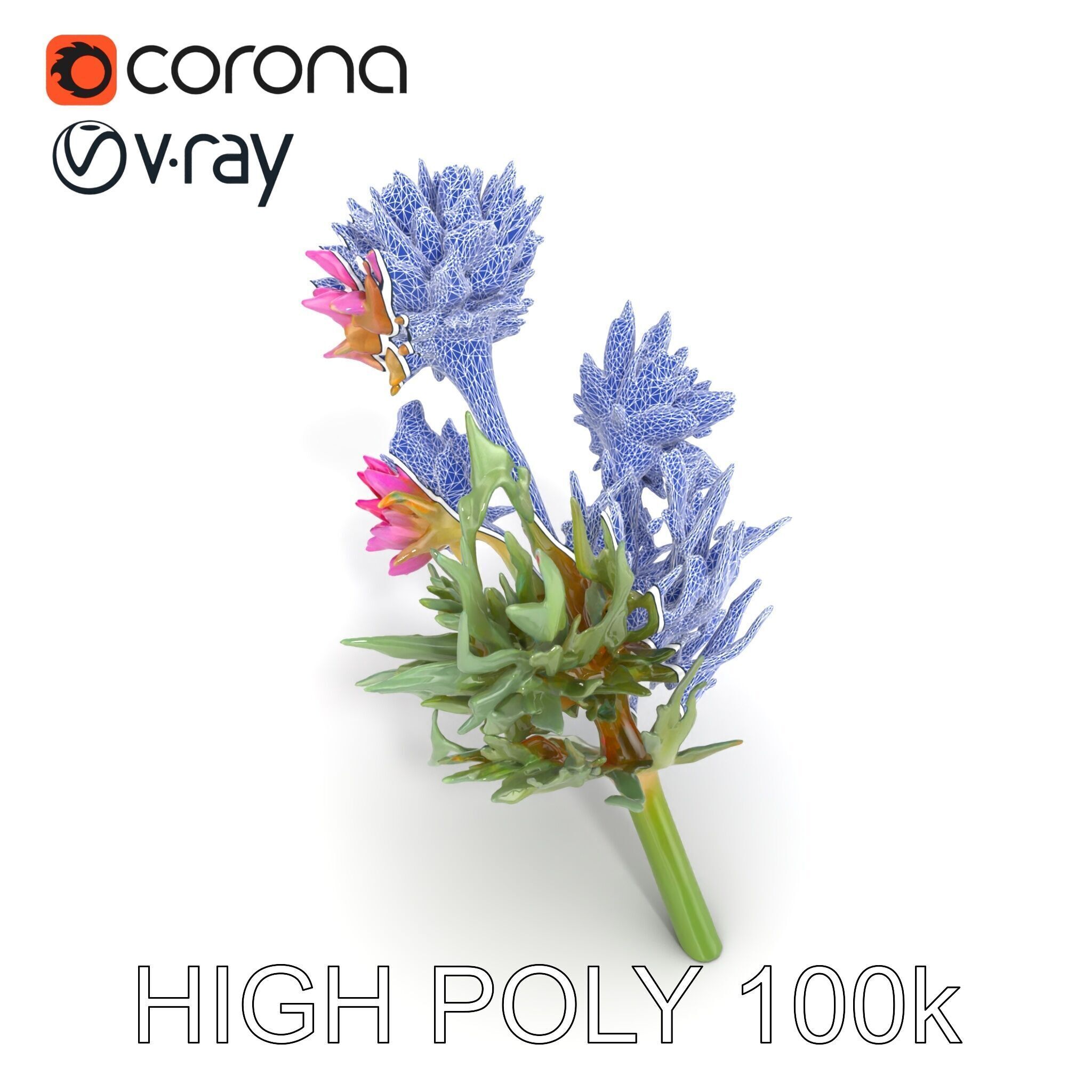 Cirsium Arvense Flower Model Pack with Spiny Leaves Low-poly 3D model_32