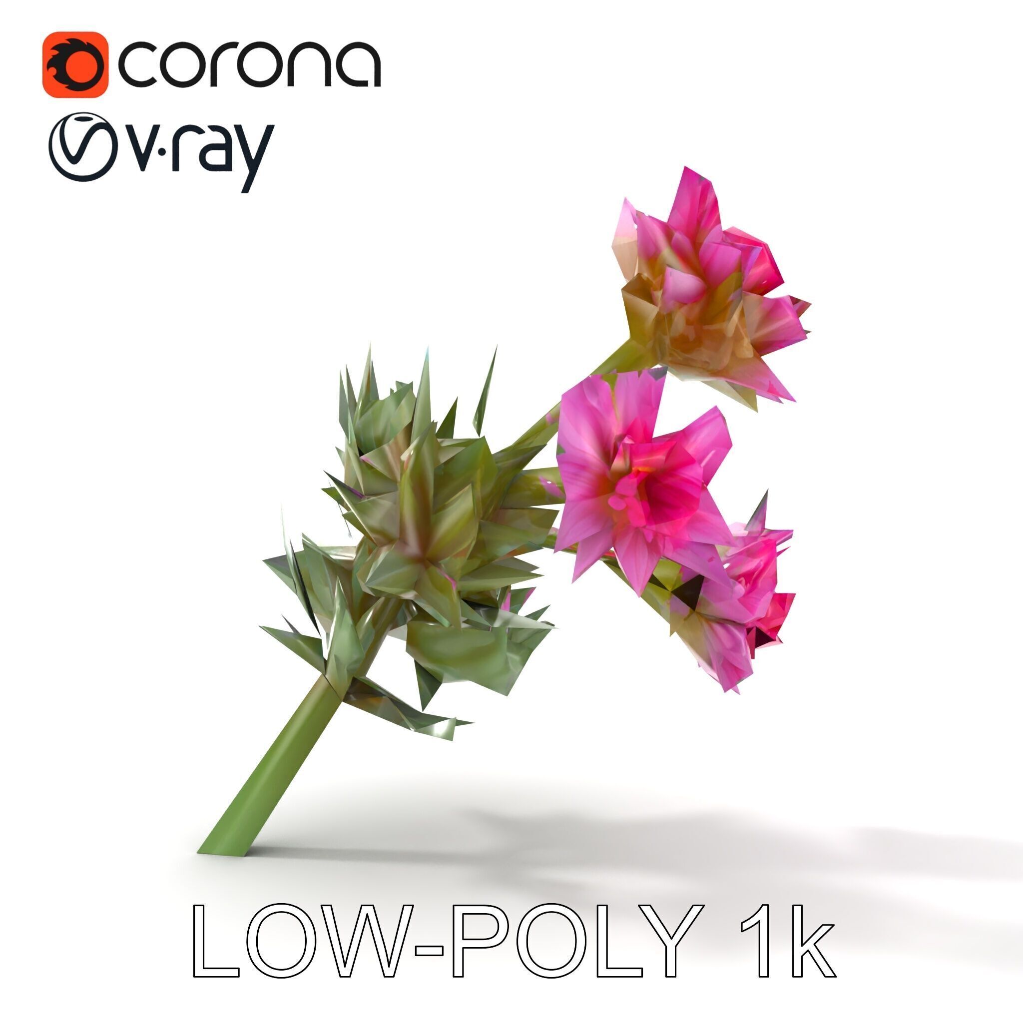 Cirsium Arvense Flower Model Pack with Spiny Leaves Low-poly 3D model_16