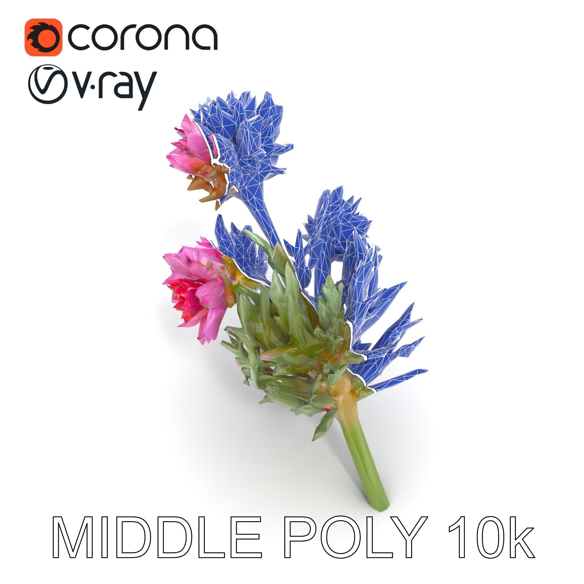 Cirsium Arvense Flower Model Pack with Spiny Leaves Low-poly 3D model_23