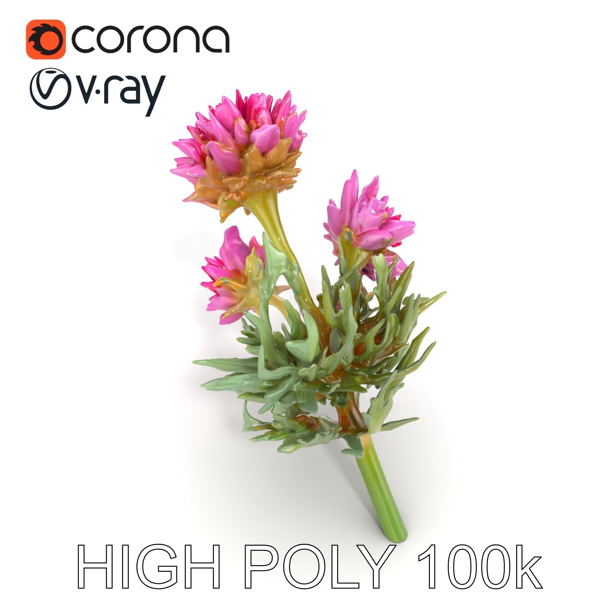 Cirsium Arvense Flower Model Pack with Spiny Leaves Low-poly 3D model_17