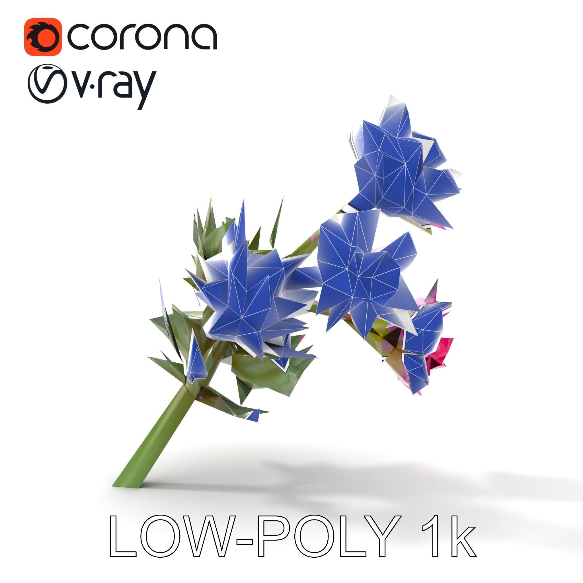 Cirsium Arvense Flower Model Pack with Spiny Leaves Low-poly 3D model_20