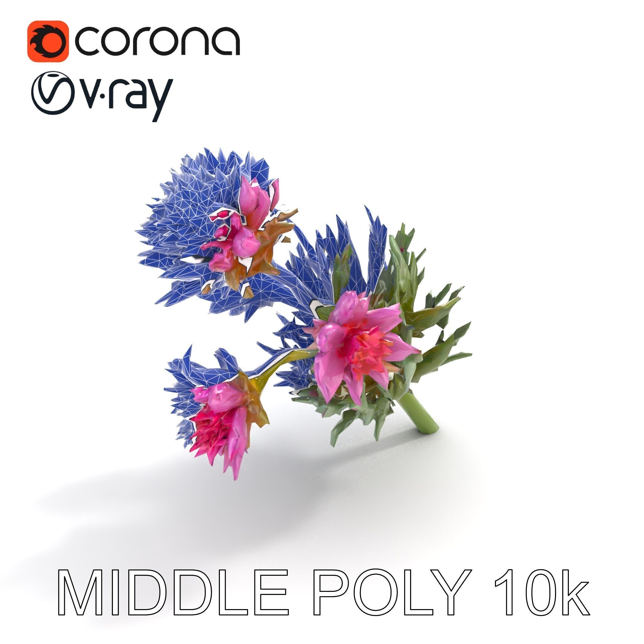 Cirsium Arvense Flower Model Pack with Spiny Leaves Low-poly 3D model_11