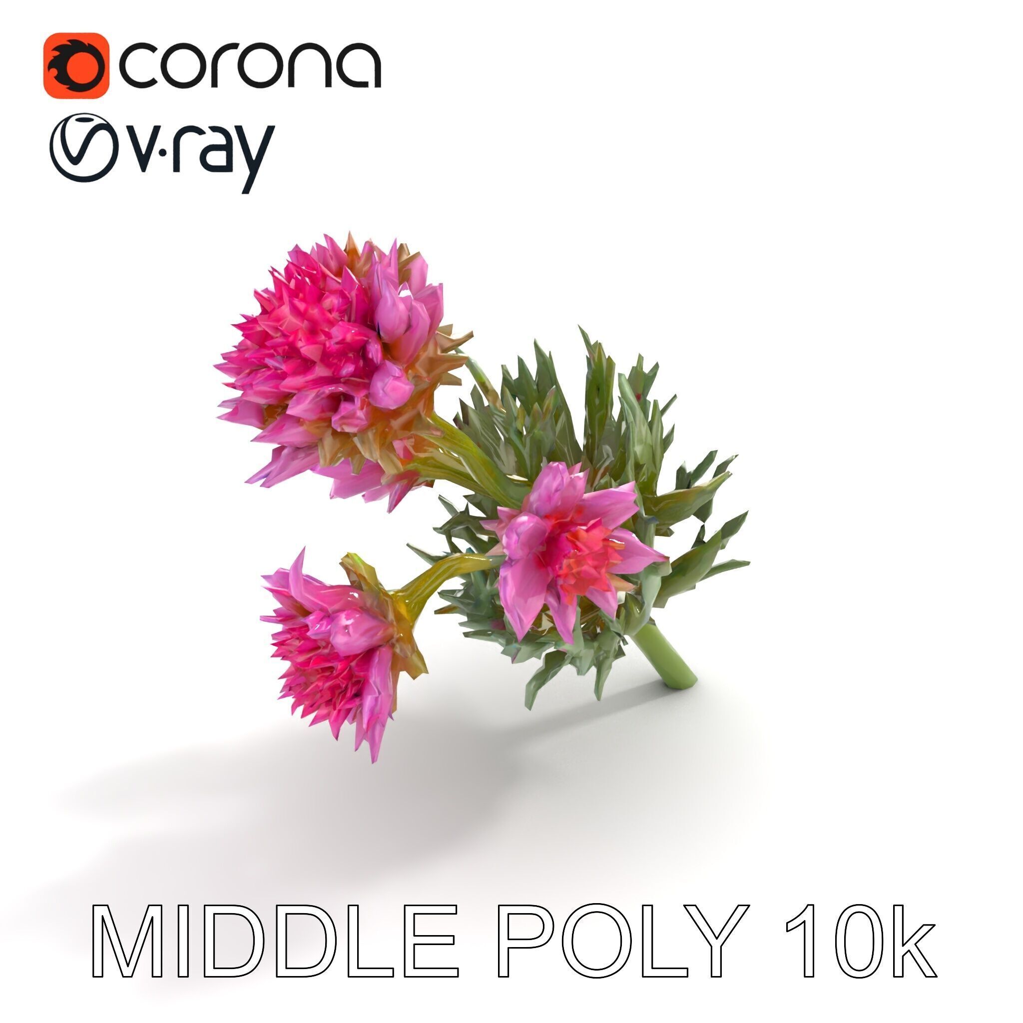 Cirsium Arvense Flower Model Pack with Spiny Leaves Low-poly 3D model_8