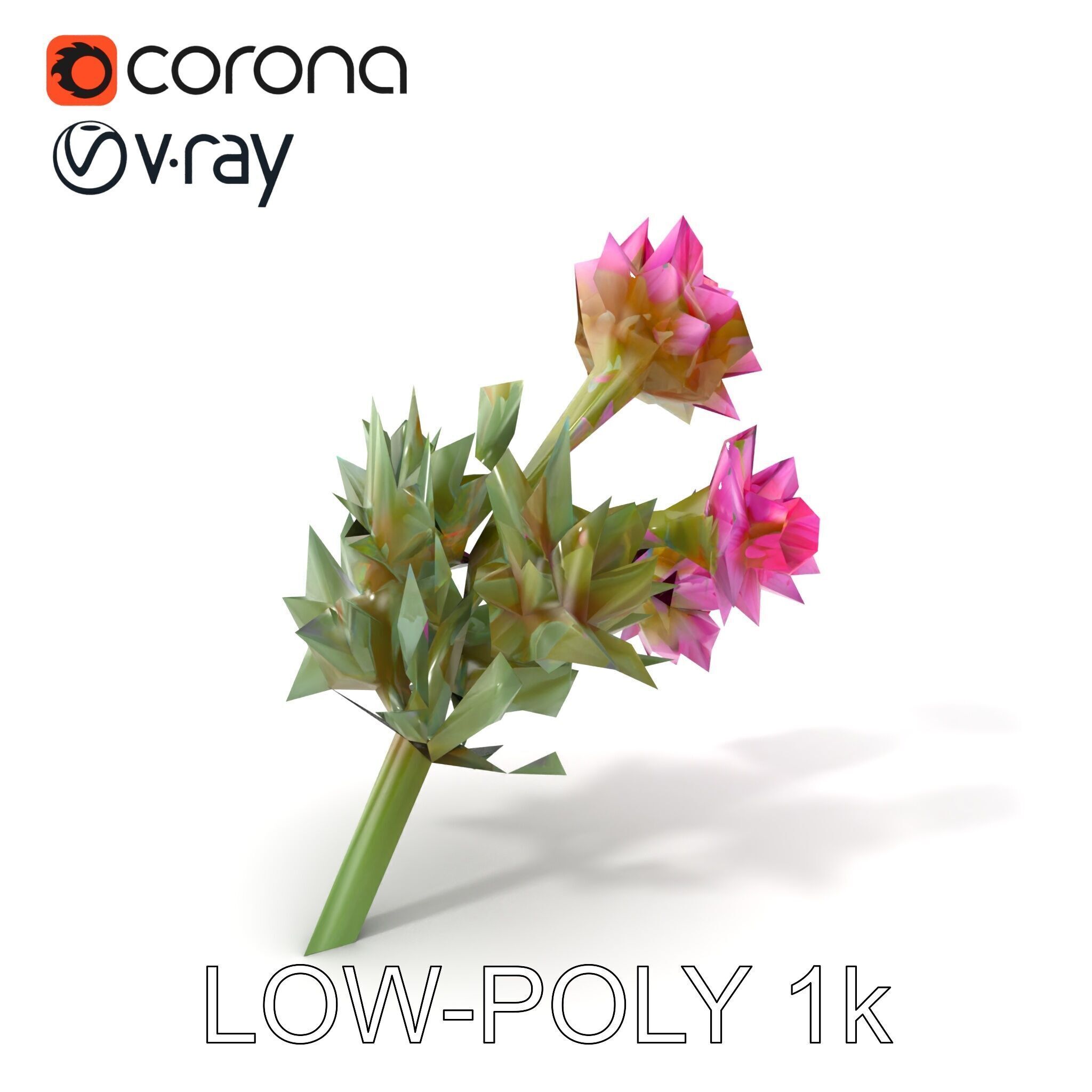 Cirsium Arvense Flower Model Pack with Spiny Leaves Low-poly 3D model_5