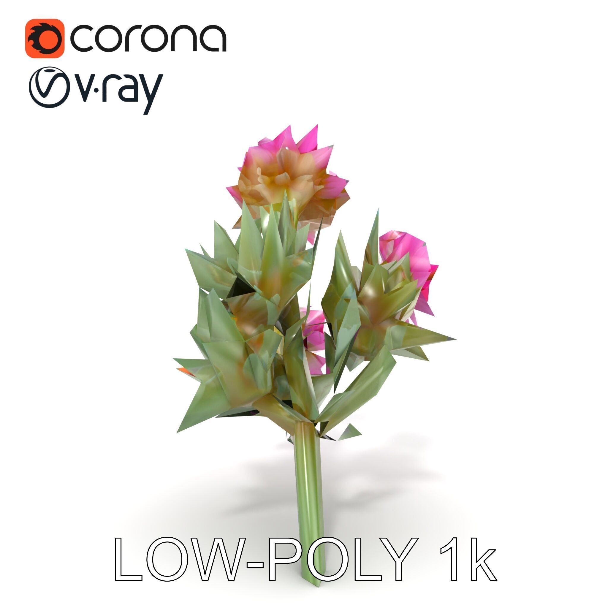 Cirsium Arvense Flower Model Pack with Spiny Leaves Low-poly 3D model_14