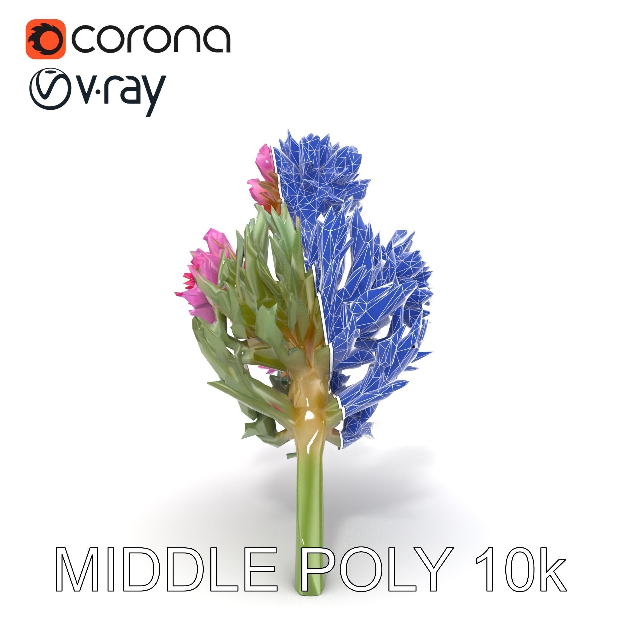 Cirsium Arvense Flower Model Pack with Spiny Leaves Low-poly 3D model_19