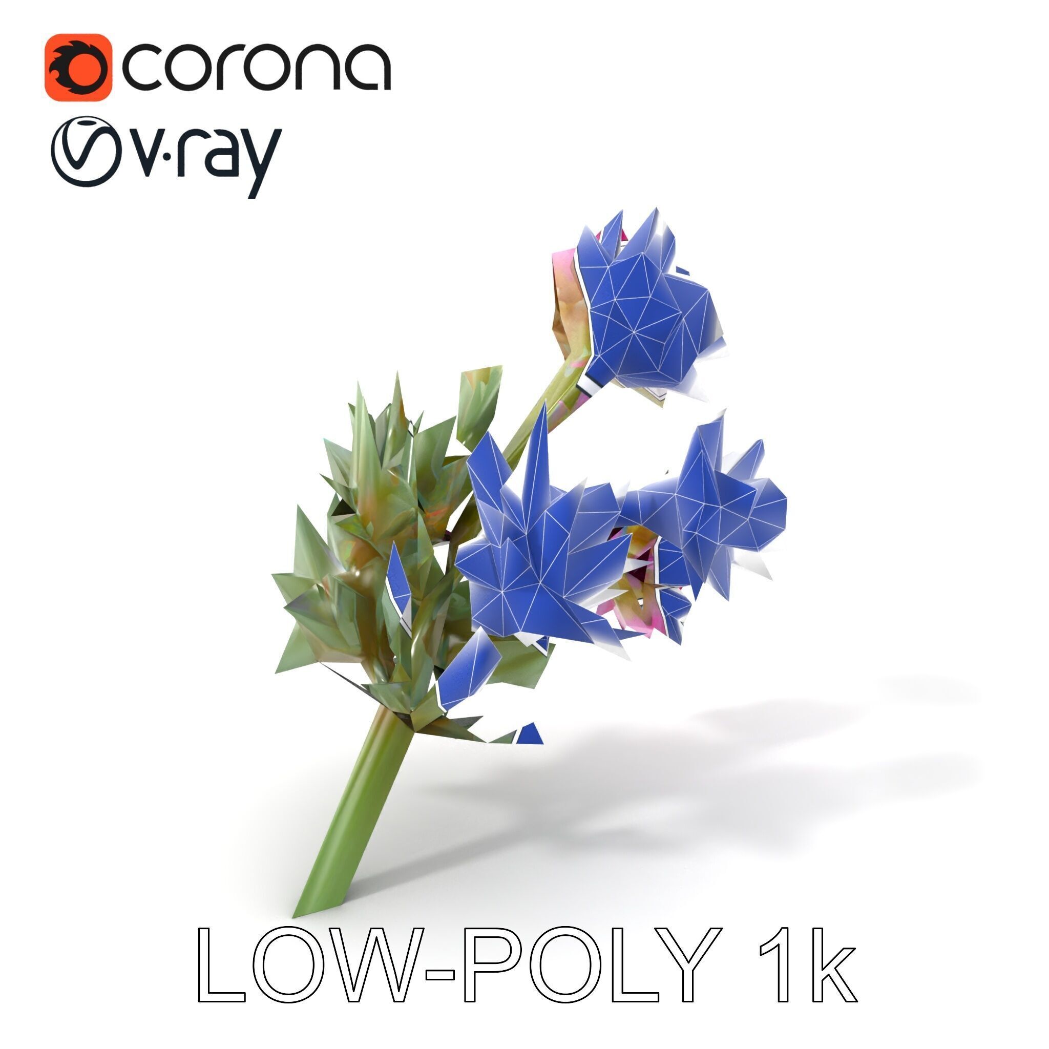 Cirsium Arvense Flower Model Pack with Spiny Leaves Low-poly 3D model_7
