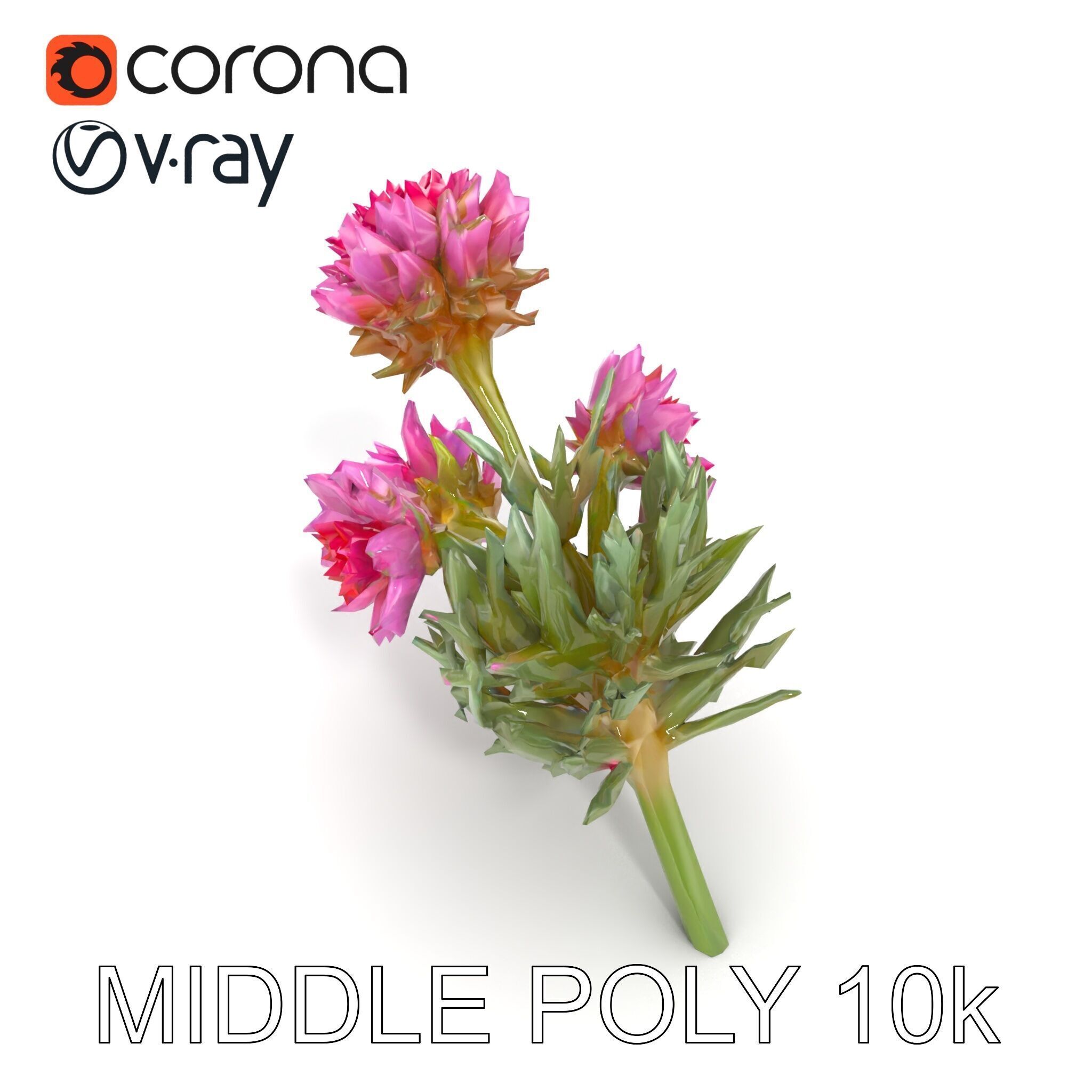 Cirsium Arvense Flower Model Pack with Spiny Leaves Low-poly 3D model_13