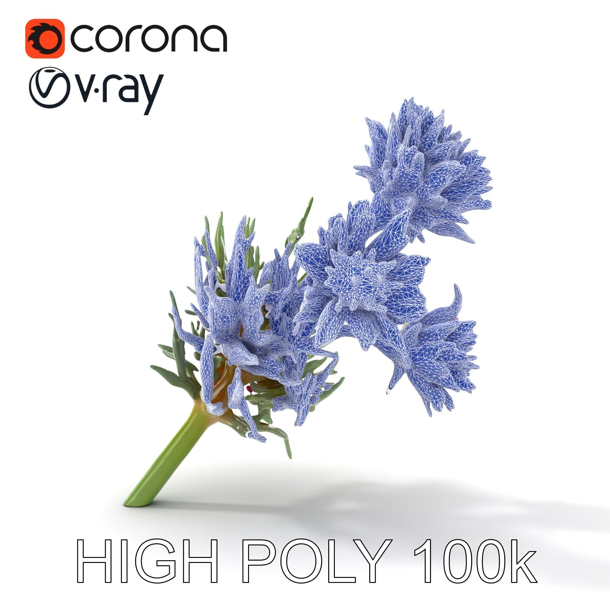 Cirsium Arvense Flower Model Pack with Spiny Leaves Low-poly 3D model_28