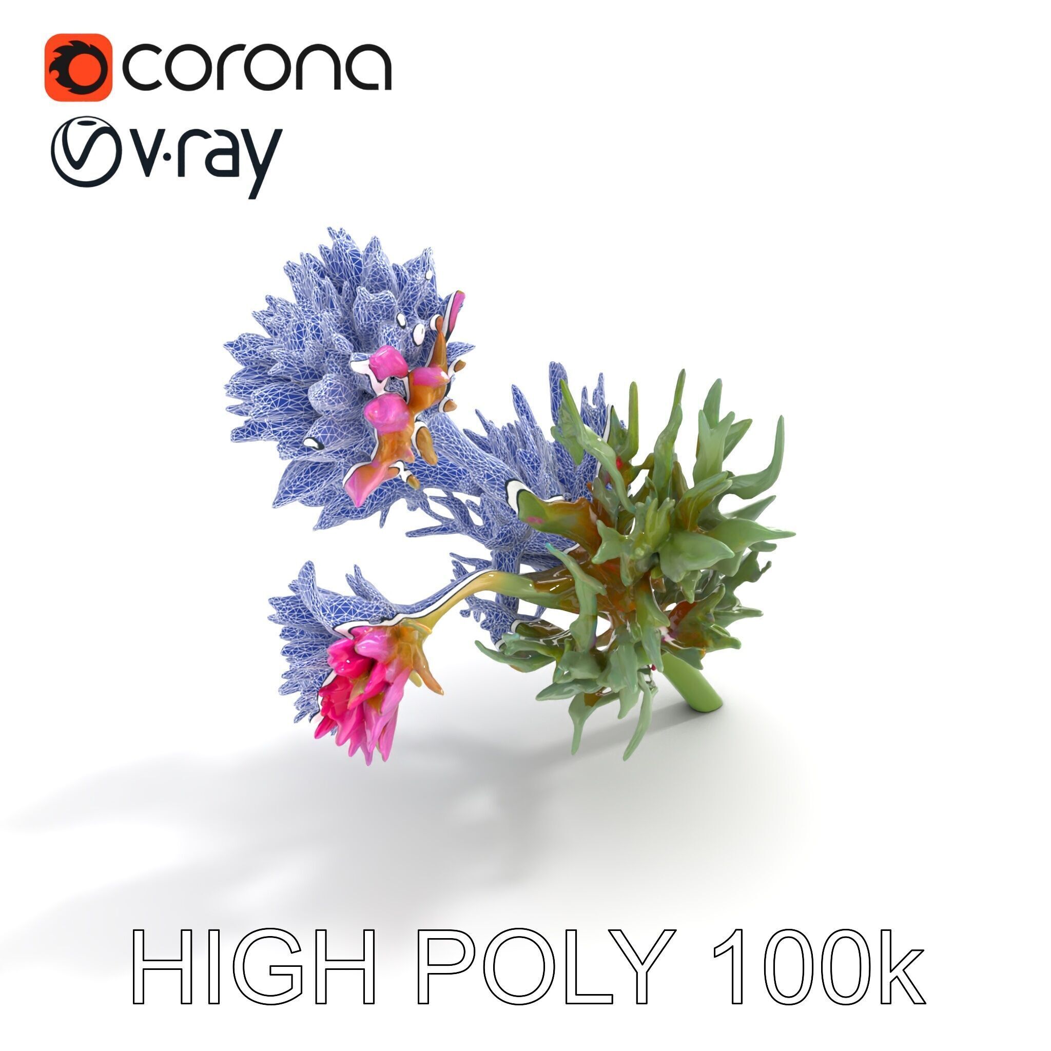 Cirsium Arvense Flower Model Pack with Spiny Leaves Low-poly 3D model_24