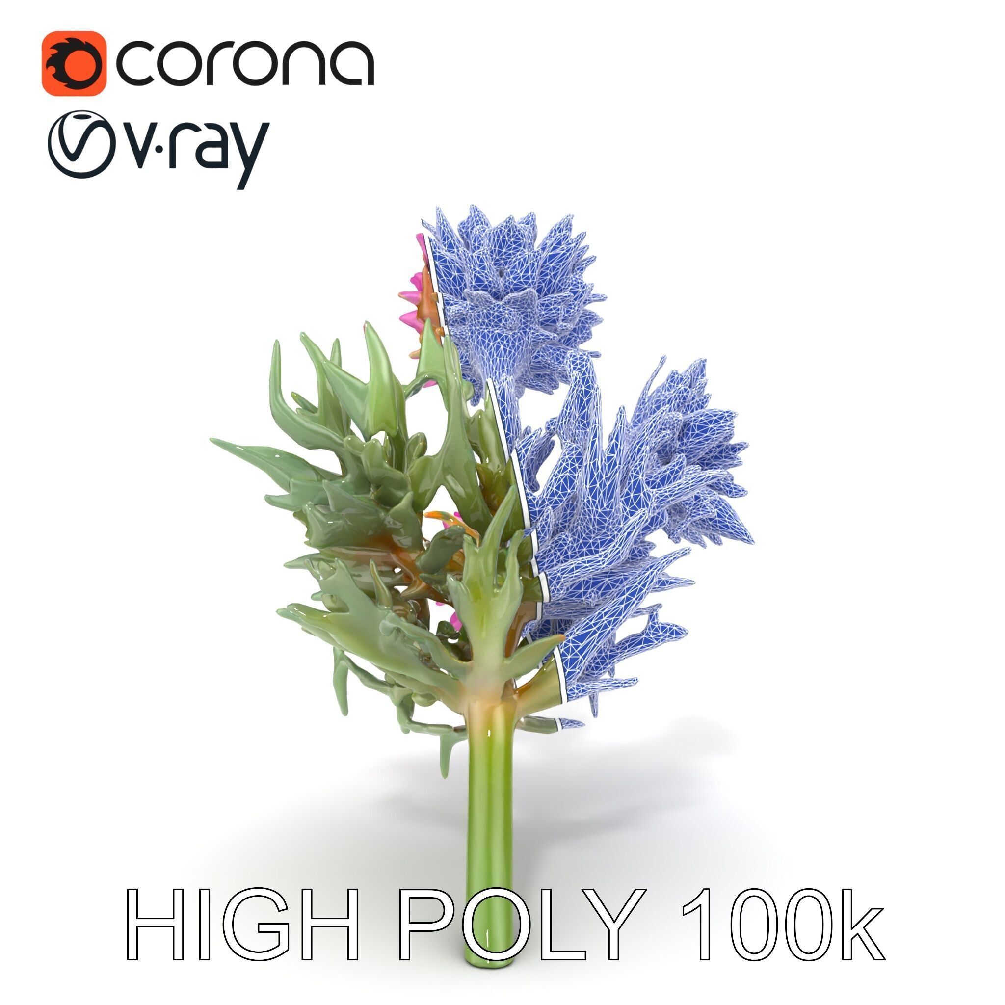 Cirsium Arvense Flower Model Pack with Spiny Leaves Low-poly 3D model_26
