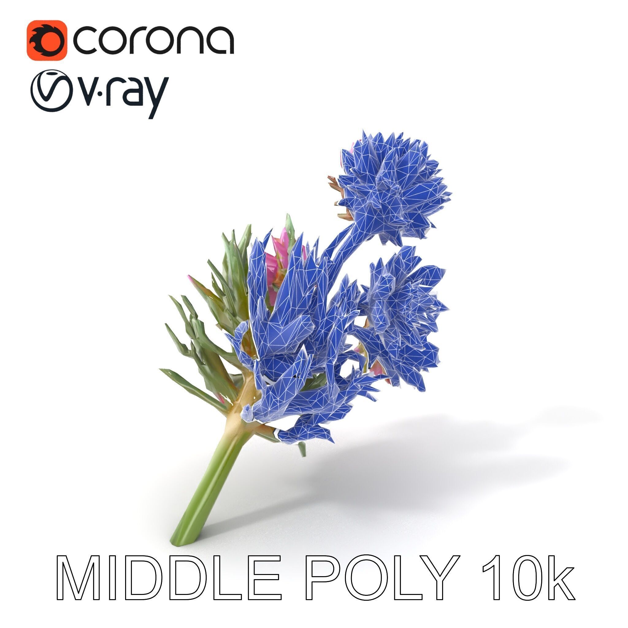 Cirsium Arvense Flower Model Pack with Spiny Leaves Low-poly 3D model_6