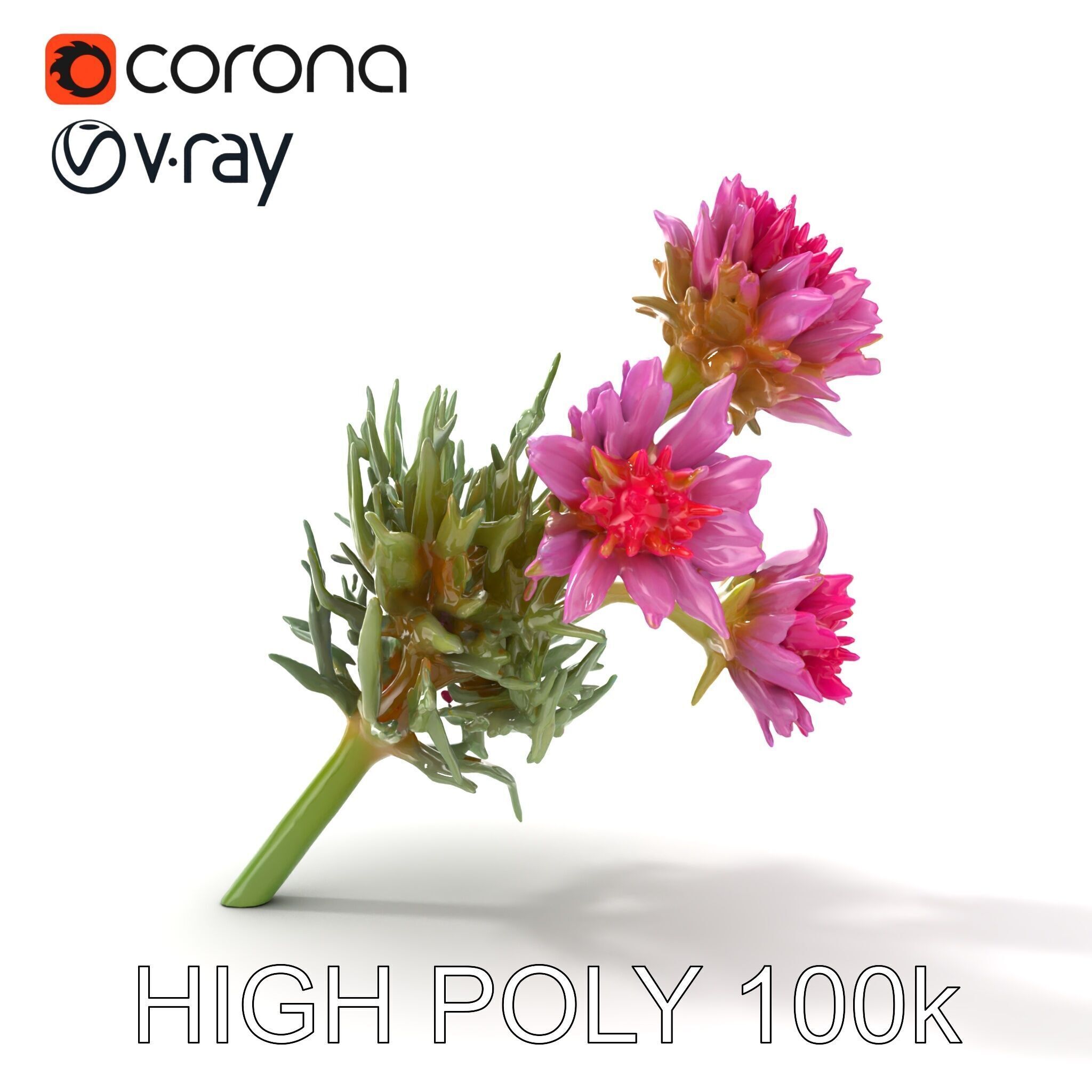 Cirsium Arvense Flower Model Pack with Spiny Leaves Low-poly 3D model_25