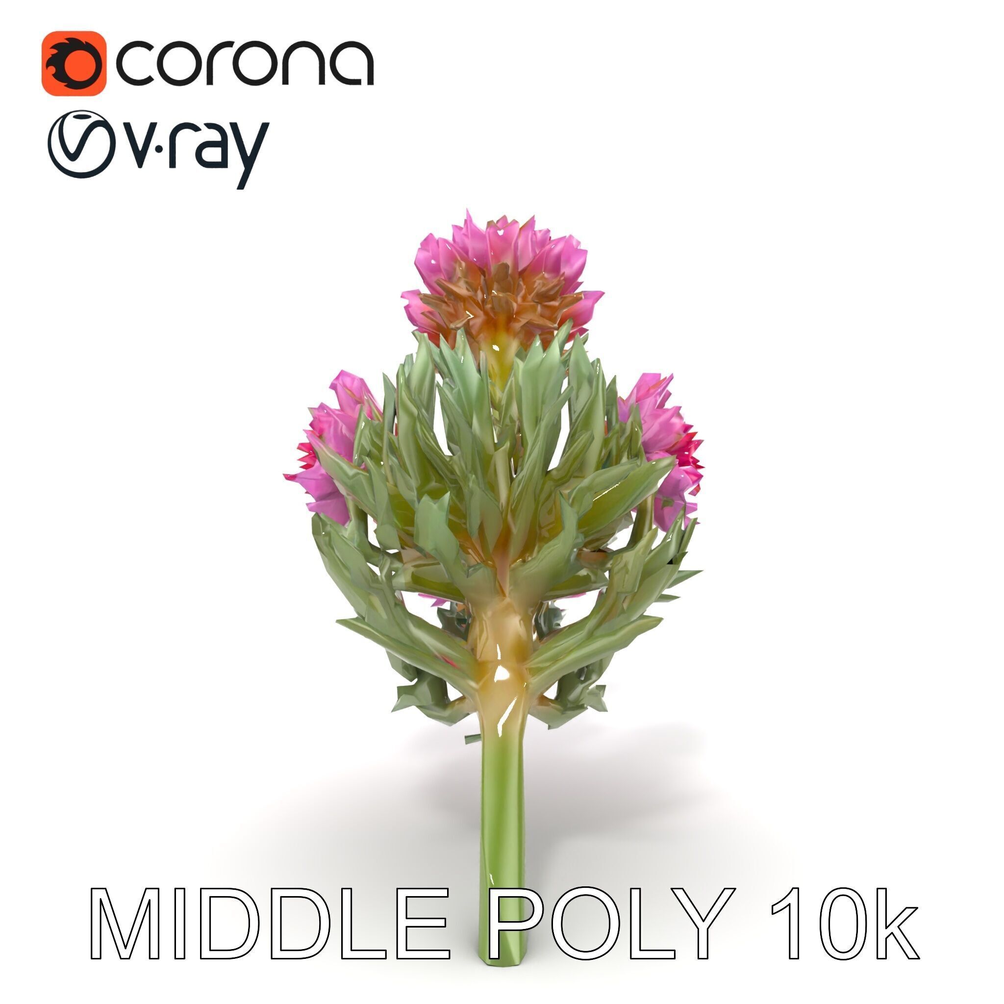 Cirsium Arvense Flower Model Pack with Spiny Leaves Low-poly 3D model_27