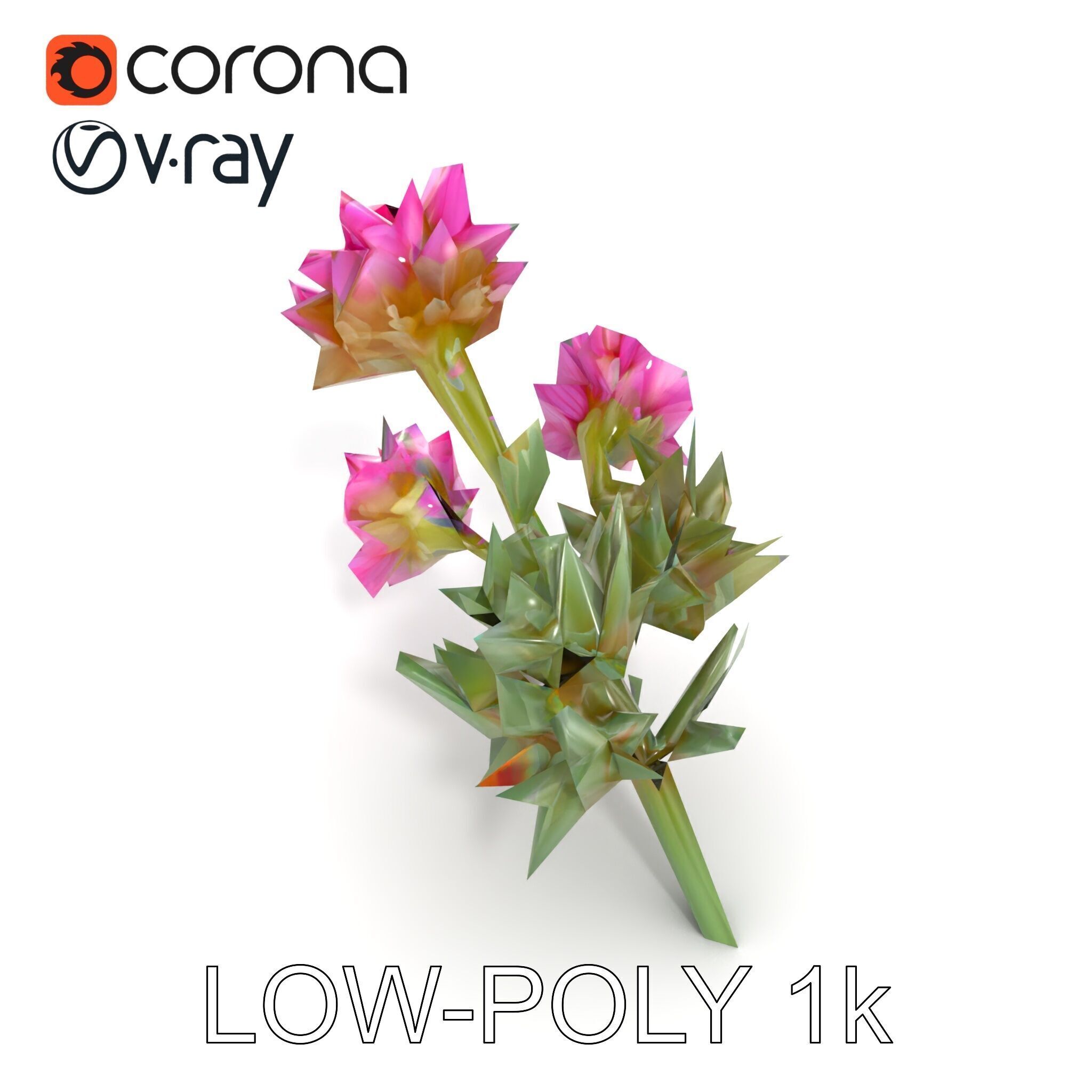 Cirsium Arvense Flower Model Pack with Spiny Leaves Low-poly 3D model_31