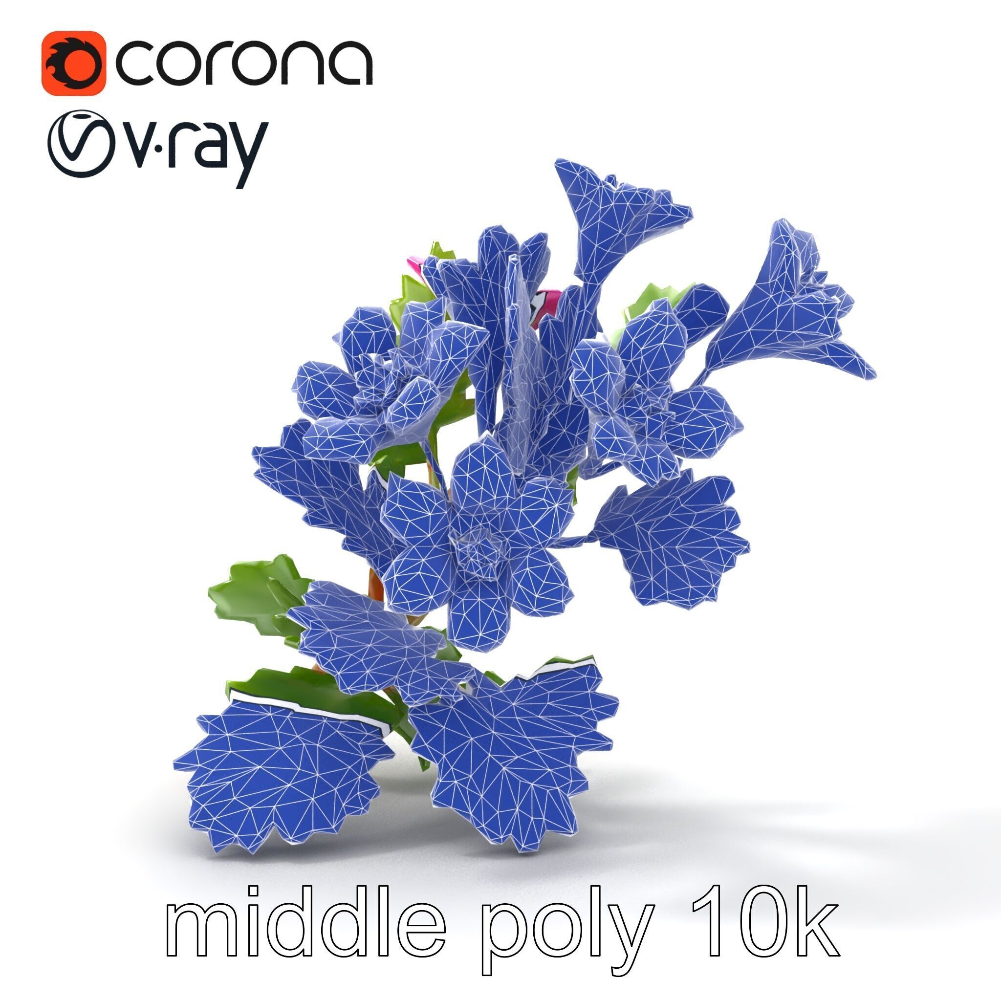Carduus Crispus Curly Leaf Flower model pack Low-poly 3D model_26