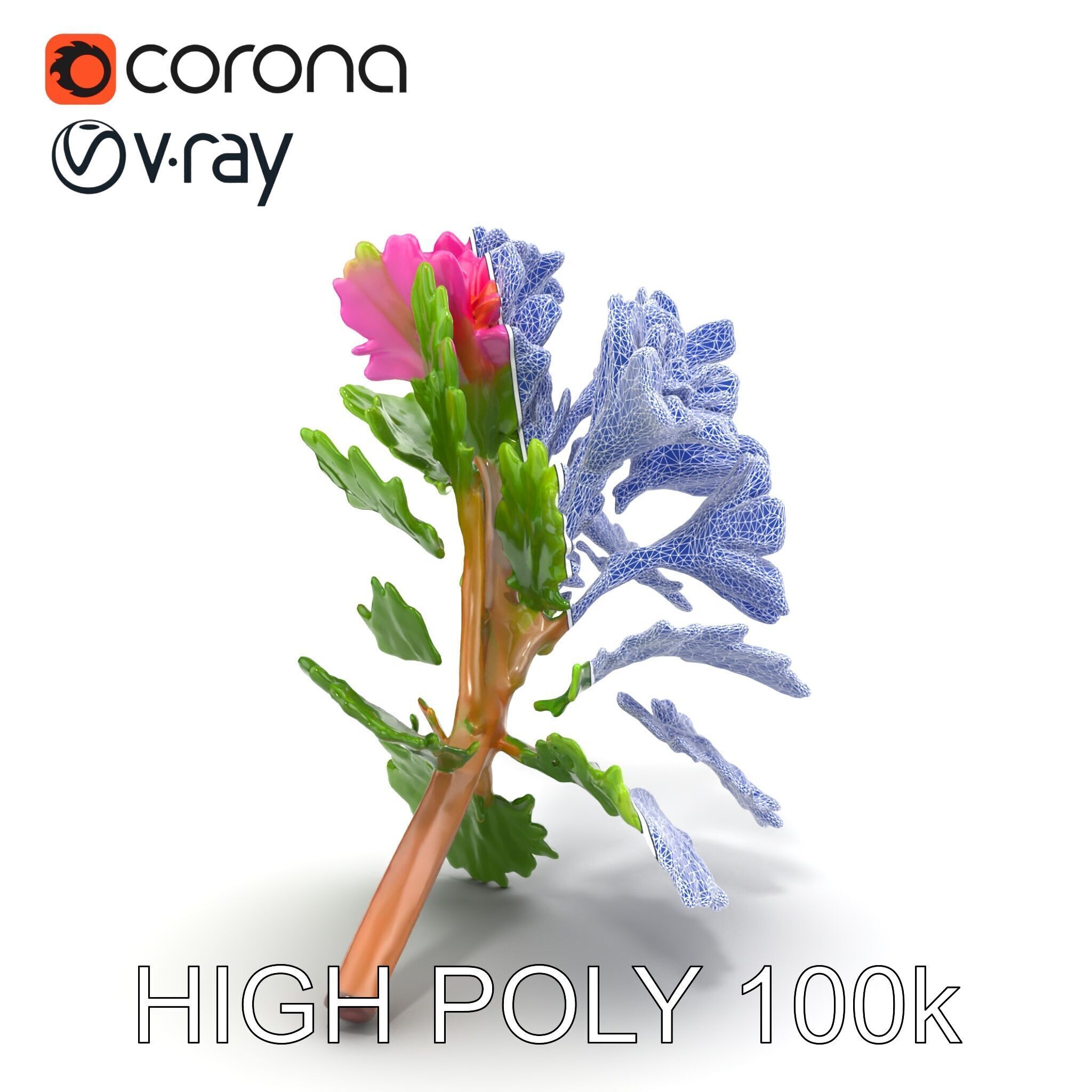 Carduus Crispus Curly Leaf Flower model pack Low-poly 3D model_23